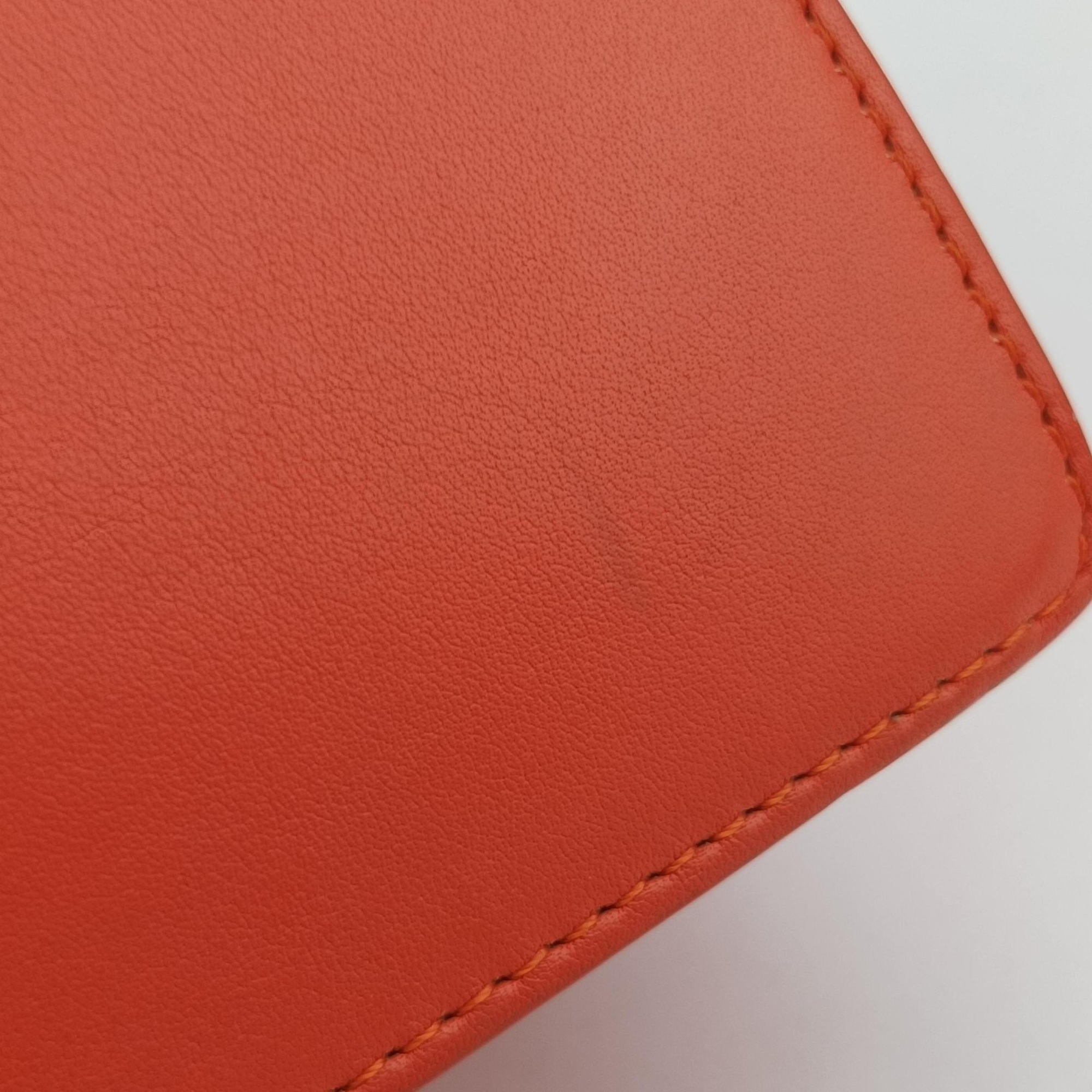 Vintage Delvaux Madame Orange Leather  shoulderbag | stylenewstar
