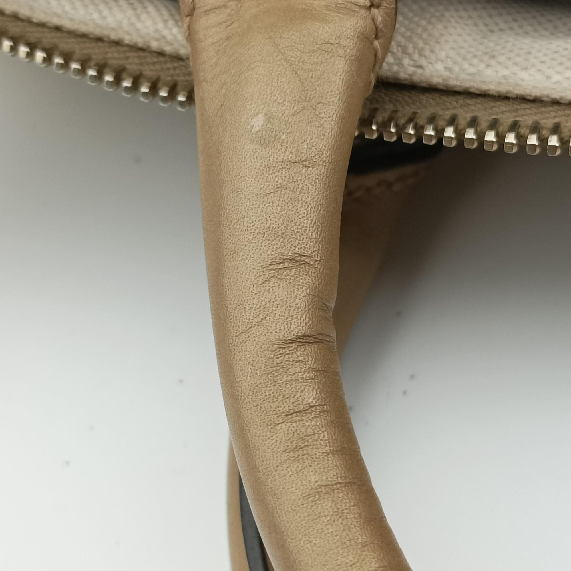 Pre-owned Gucci GG plus Spring Joy GG Supreme Golden PVC coated canvas 193603 handbag | stylenewstar
