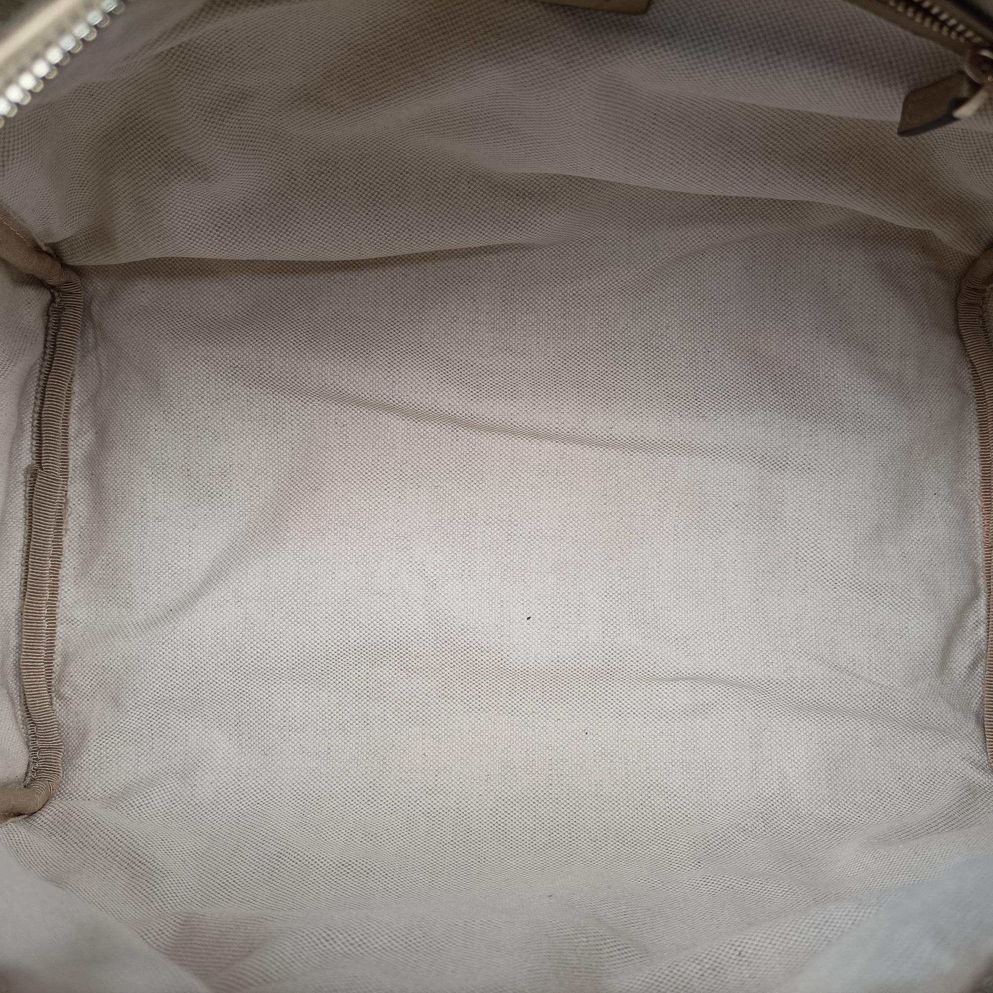 Pre-owned Gucci GG plus Spring Joy GG Supreme Golden PVC coated canvas 193603 handbag | stylenewstar