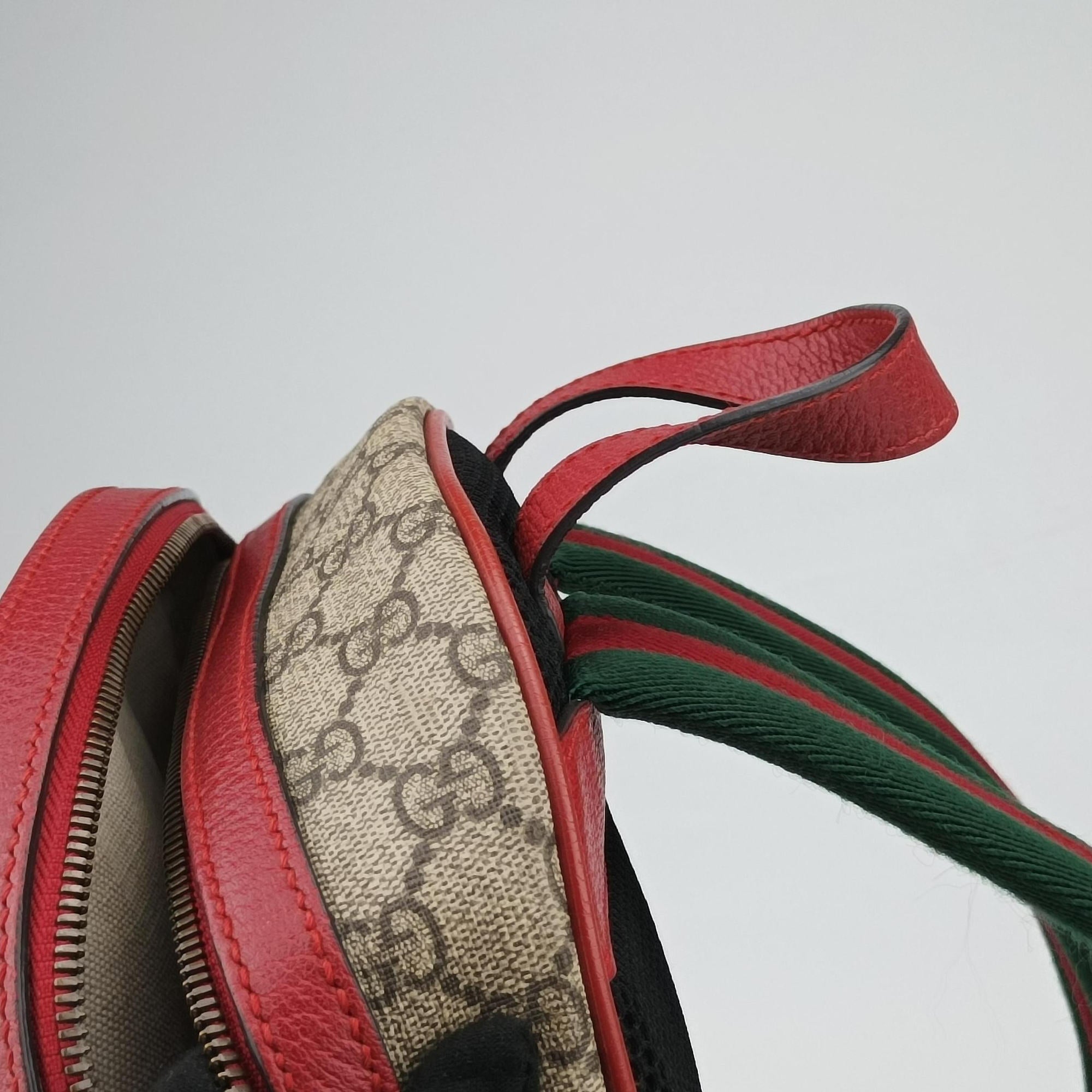 Secondhand Gucci GG Supreme Bosco dog print beige×Multicolour PVC coated canvas 495621 backpack/rucksack | stylenewstar