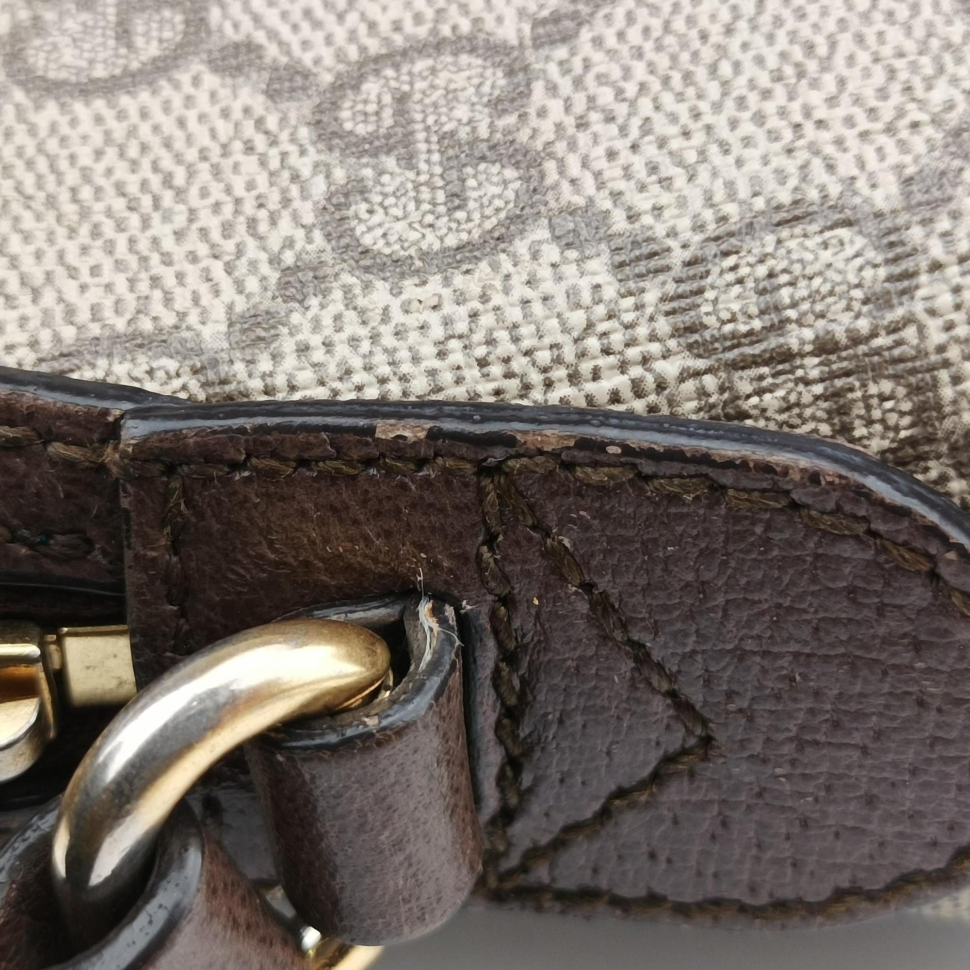 Pre-owned Gucci Ophidia brown×red×green PVC coated canvas×Leather 499621 shoulderbag | stylenewstar
