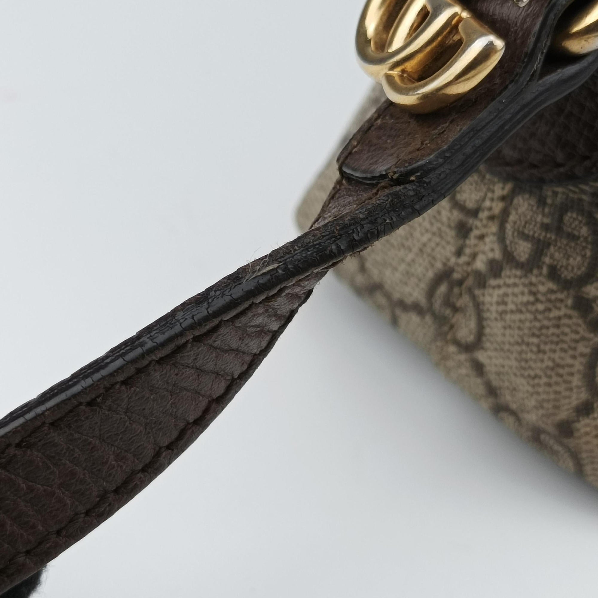 Pre-owned Gucci Ophidia brown×red×green PVC coated canvas×Leather 499621 shoulderbag | stylenewstar