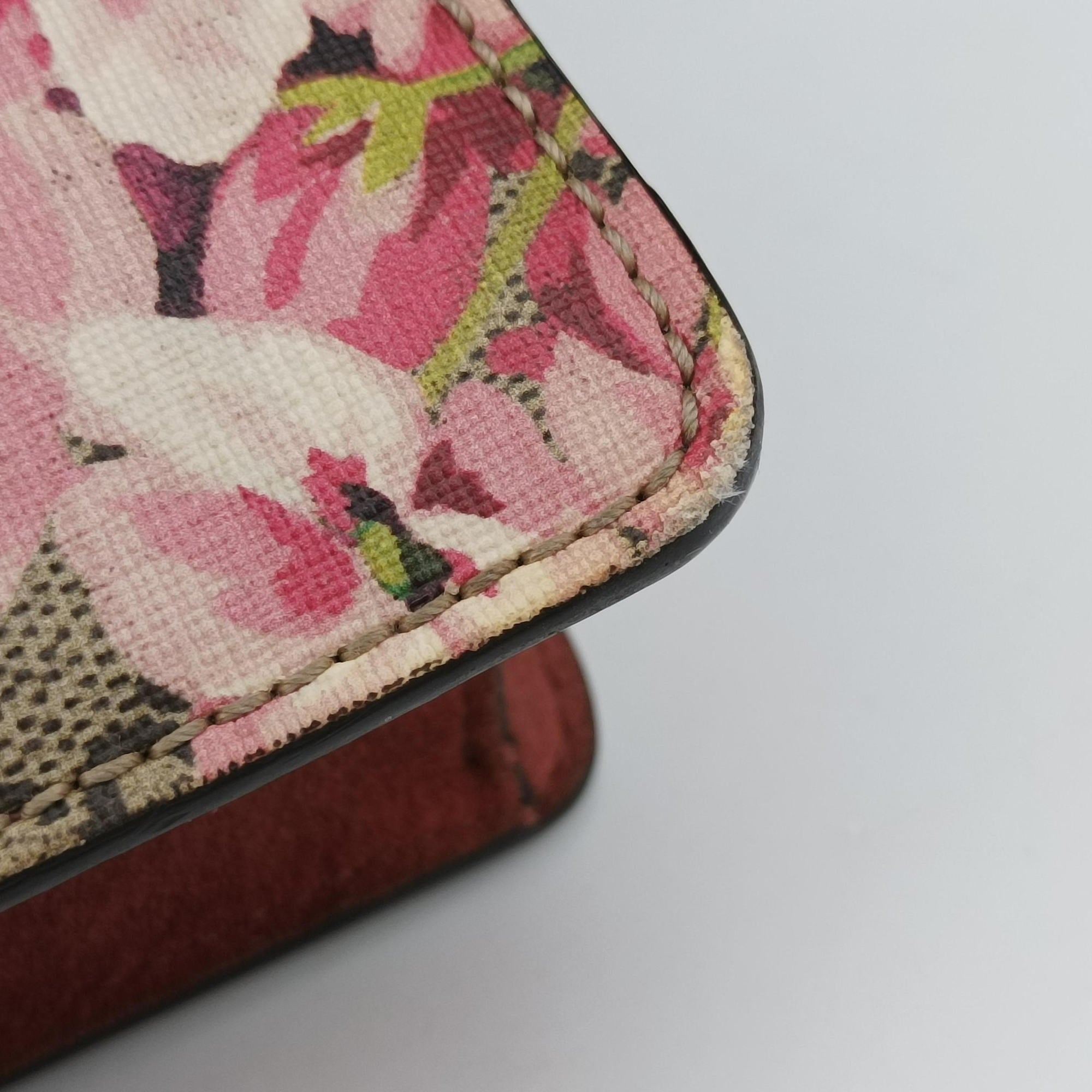 Secondhand Gucci Dionysus beige×red×multicolor PVC coated canvas × suede 421970 shoulderbag | stylenewstar