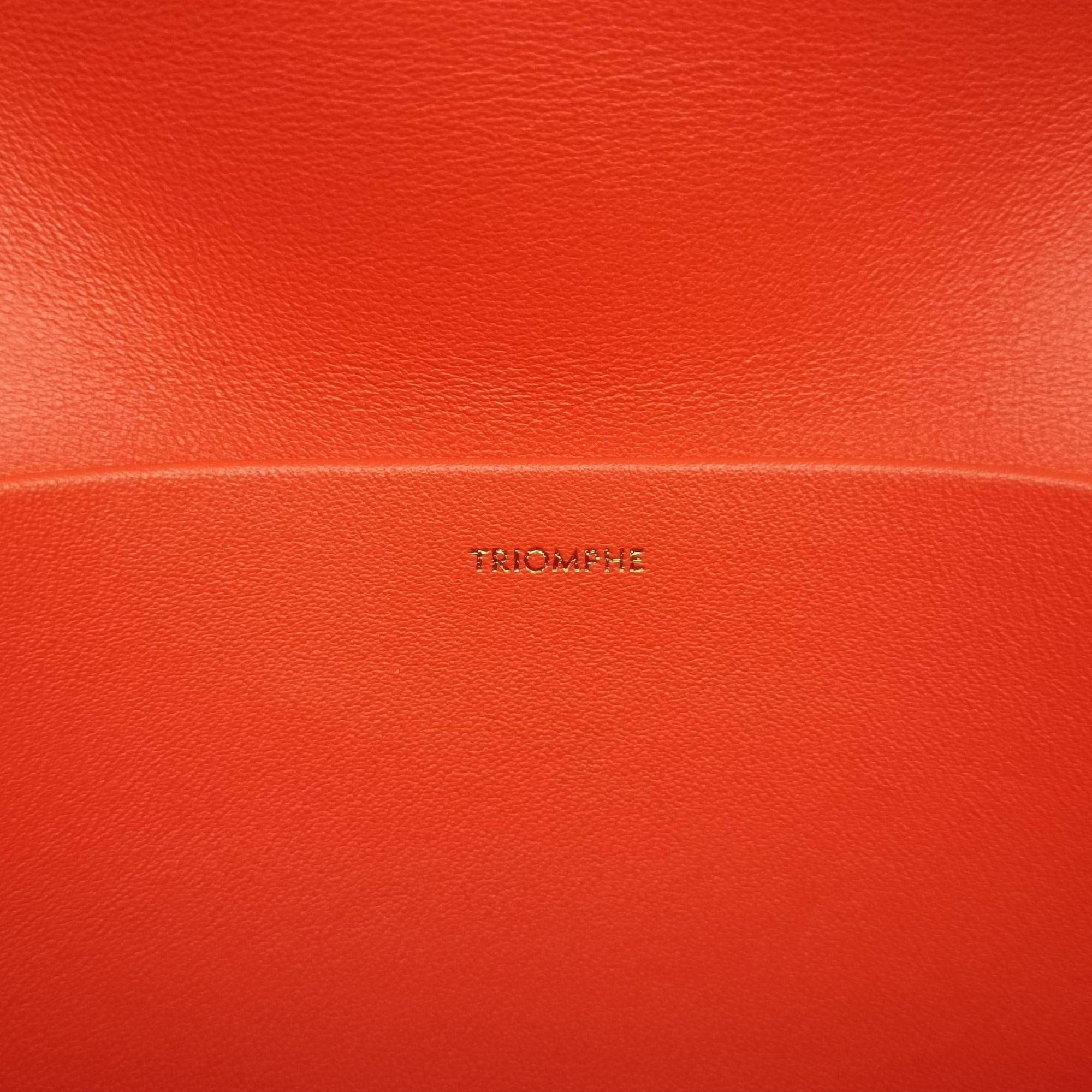 Pre-owned Celine Triomphe Orange Leather  shoulderbag | stylenewstar
