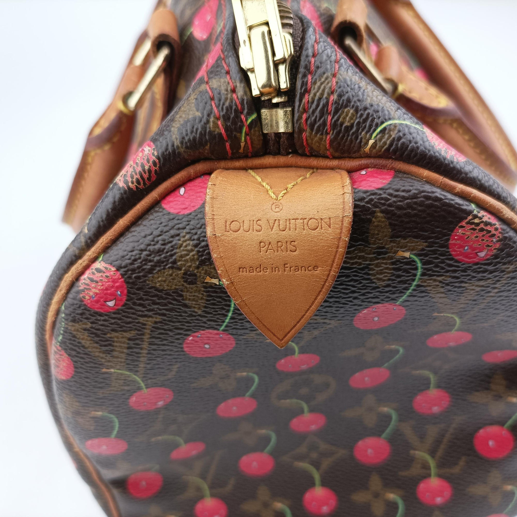 Pre-owned Louis Vuitton Speedy 25 Monogram Cherry Monogram Canvas M95009 handbag | stylenewstar