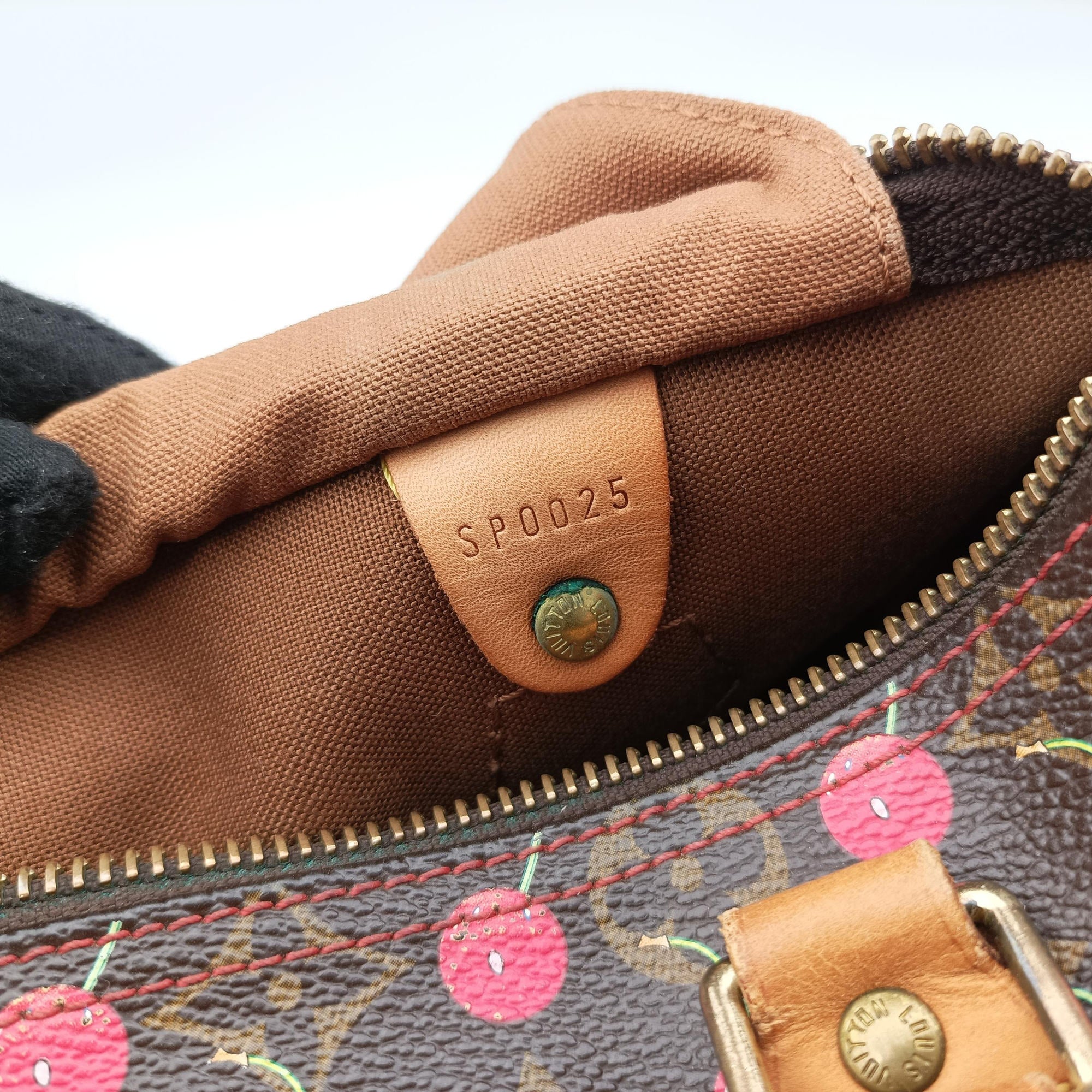 Pre-owned Louis Vuitton Speedy 25 Monogram Cherry Monogram Canvas M95009 handbag | stylenewstar
