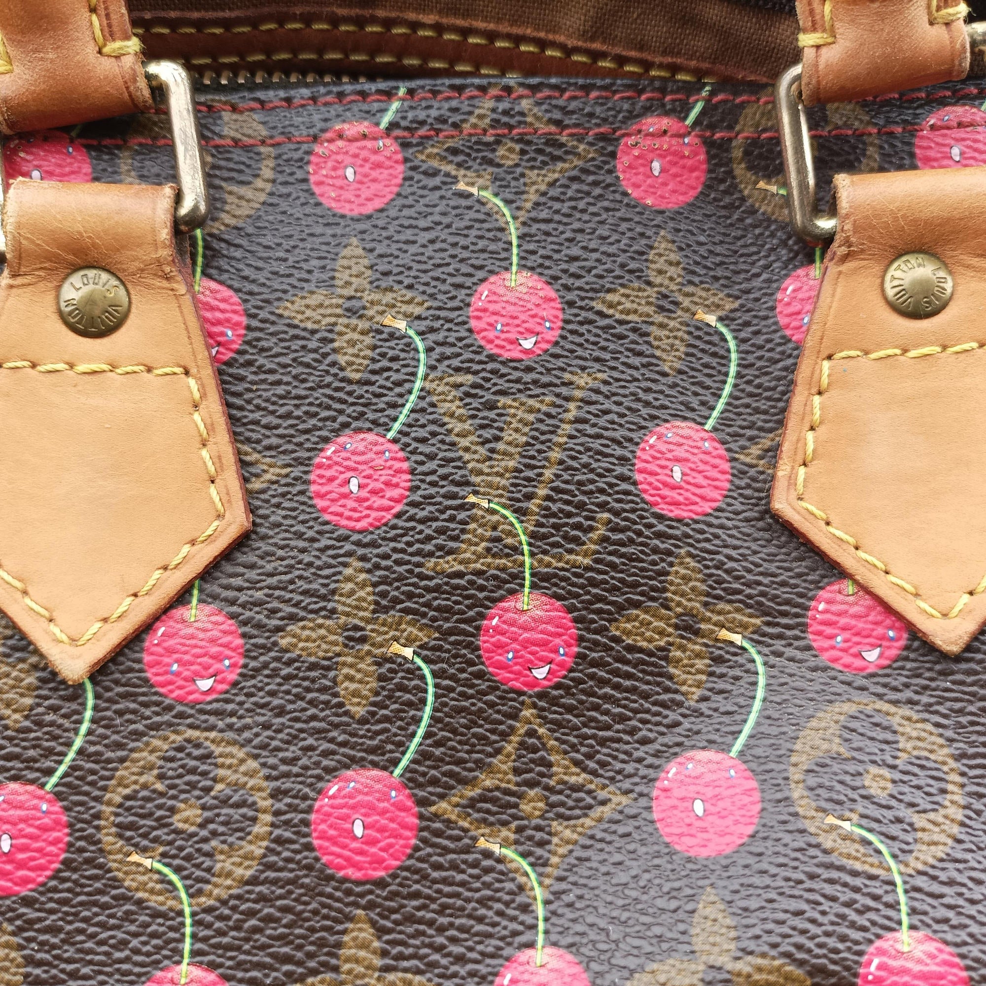 Pre-owned Louis Vuitton Speedy 25 Monogram Cherry Monogram Canvas M95009 handbag | stylenewstar