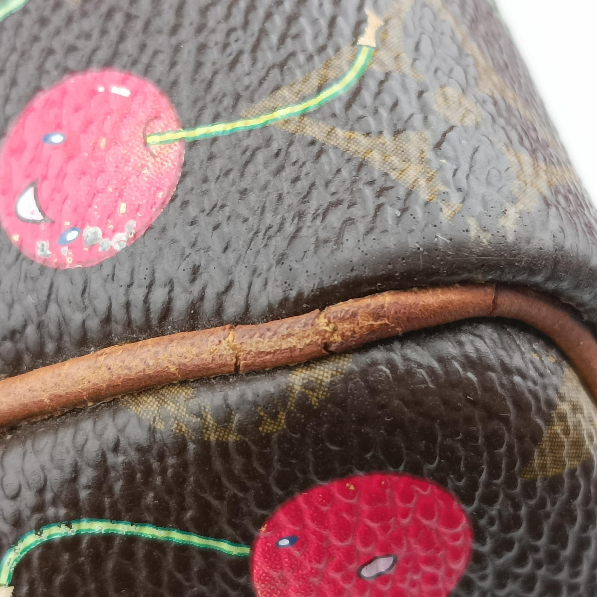 Pre-owned Louis Vuitton Speedy 25 Monogram Cherry Monogram Canvas M95009 handbag | stylenewstar