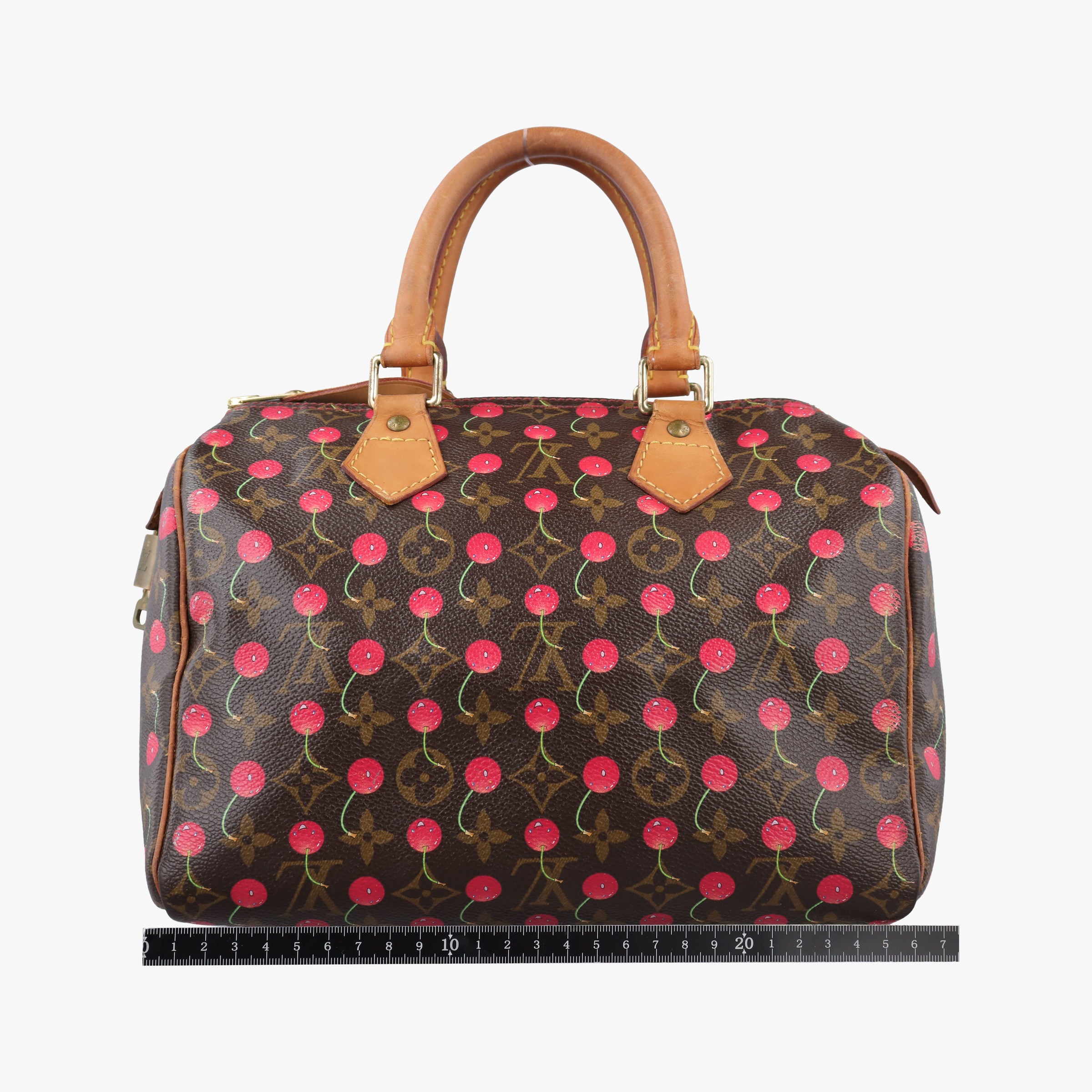 Pre-owned Louis Vuitton Speedy 25 Monogram Cherry Monogram Canvas M95009 handbag | stylenewstar