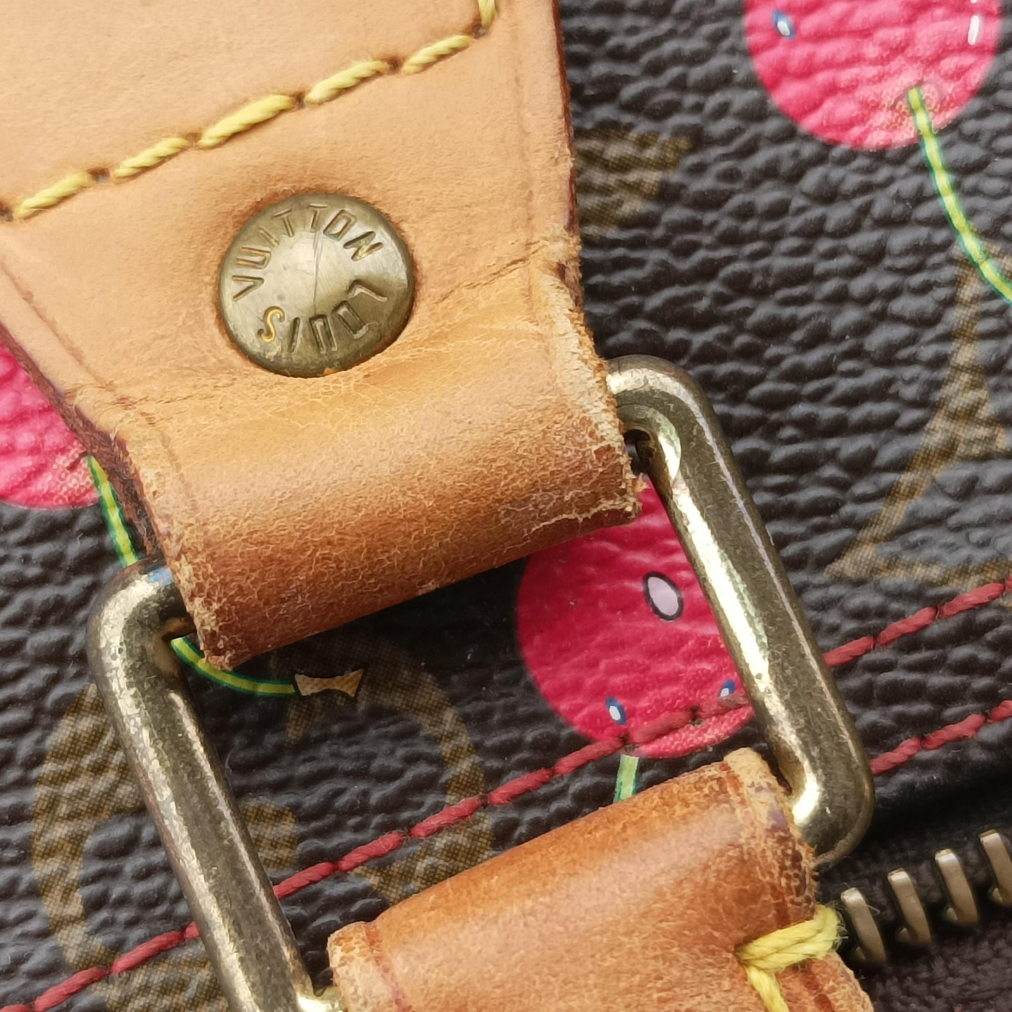 Pre-owned Louis Vuitton Speedy 25 Monogram Cherry Monogram Canvas M95009 handbag | stylenewstar