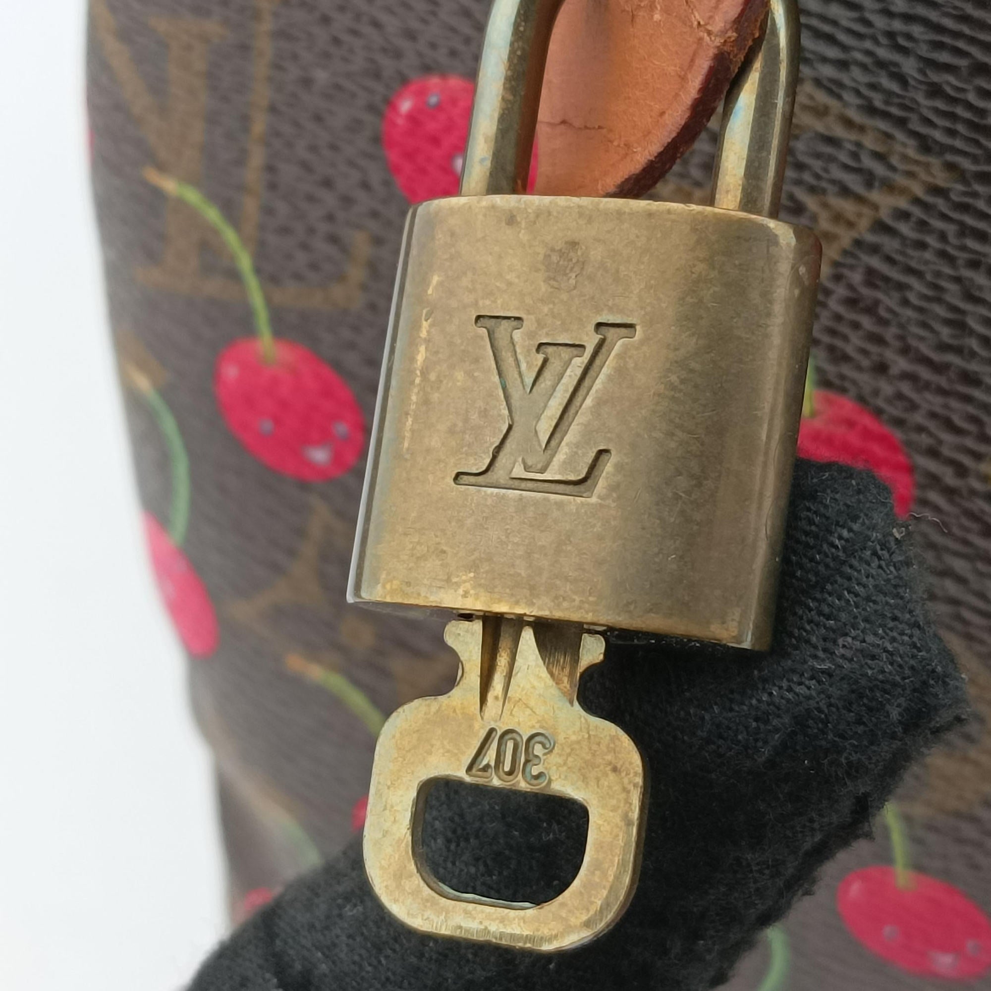 Pre-owned Louis Vuitton Speedy 25 Monogram Cherry Monogram Canvas M95009 handbag | stylenewstar