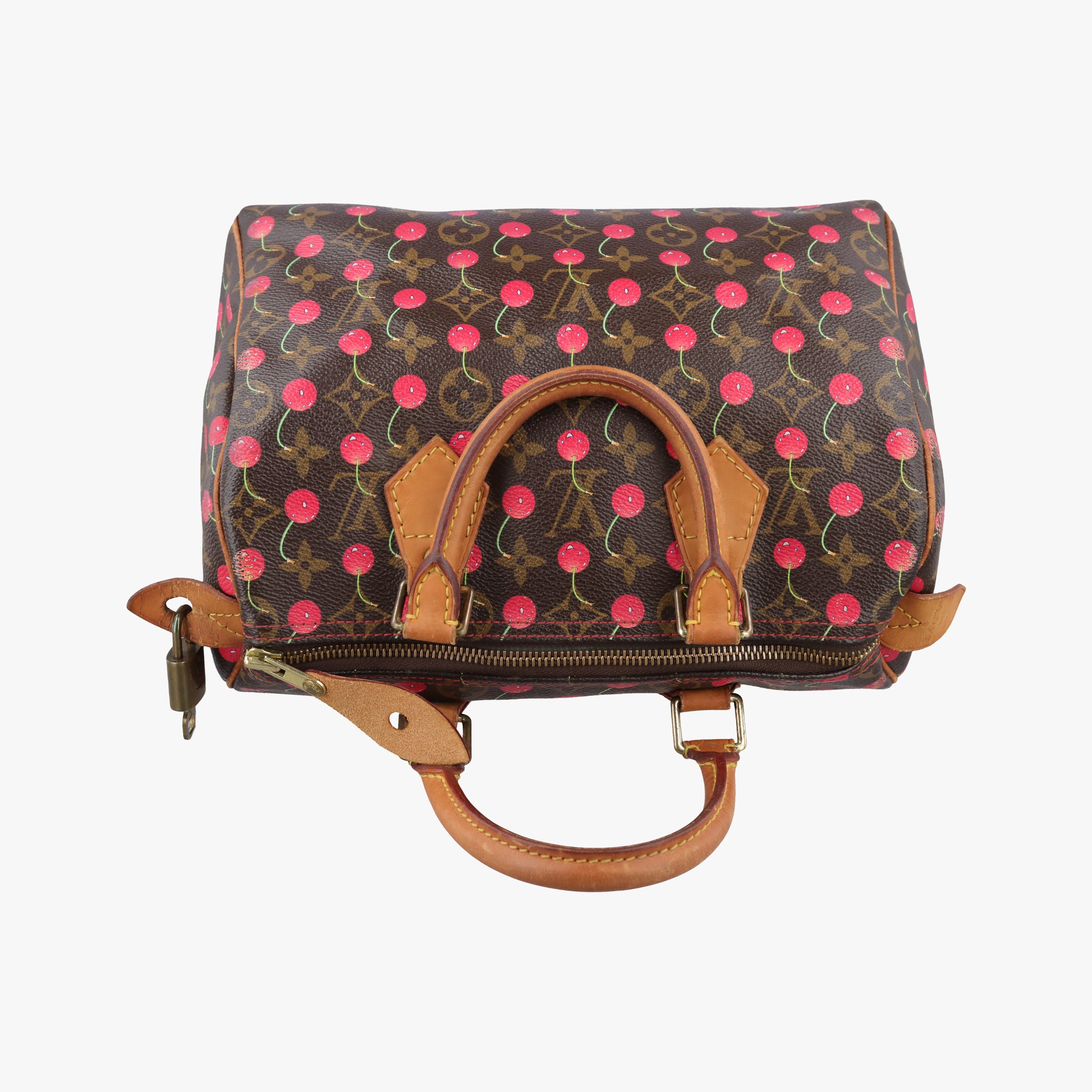 Pre-owned Louis Vuitton Speedy 25 Monogram Cherry Monogram Canvas M95009 handbag | stylenewstar