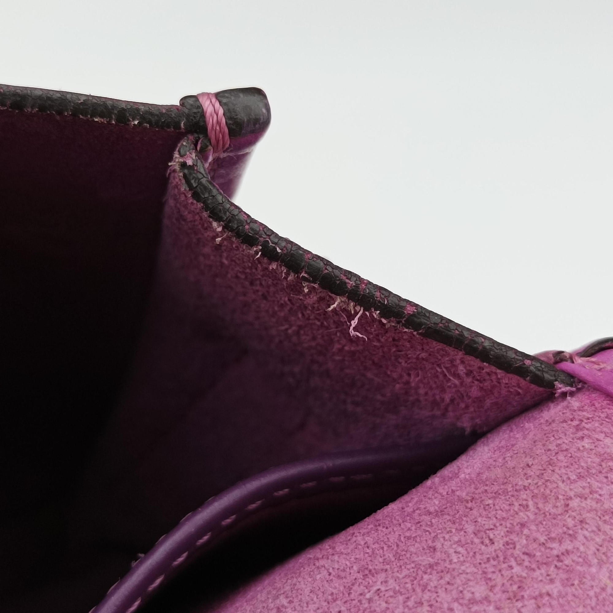 Pre-owned Loewe Ines Purple Leather  shoulderbag | stylenewstar