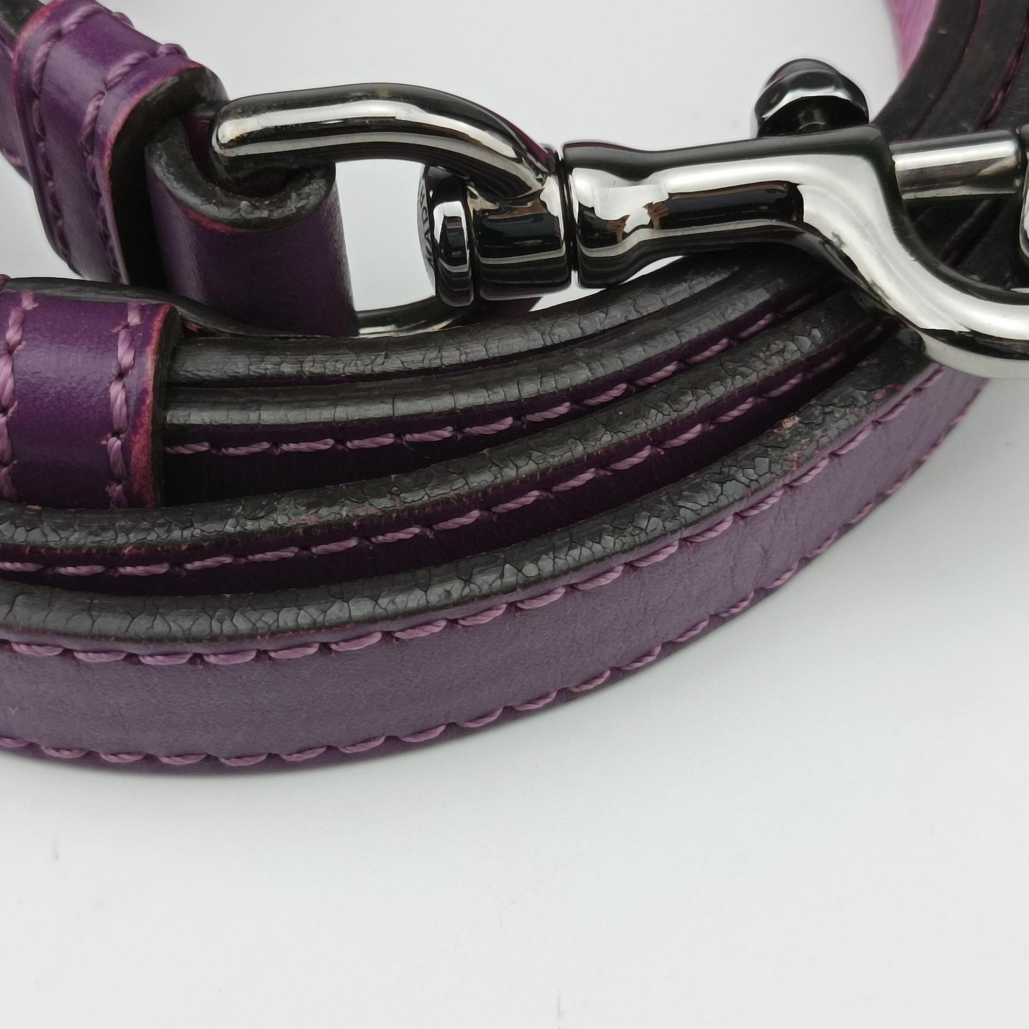 Pre-owned Loewe Ines Purple Leather  shoulderbag | stylenewstar