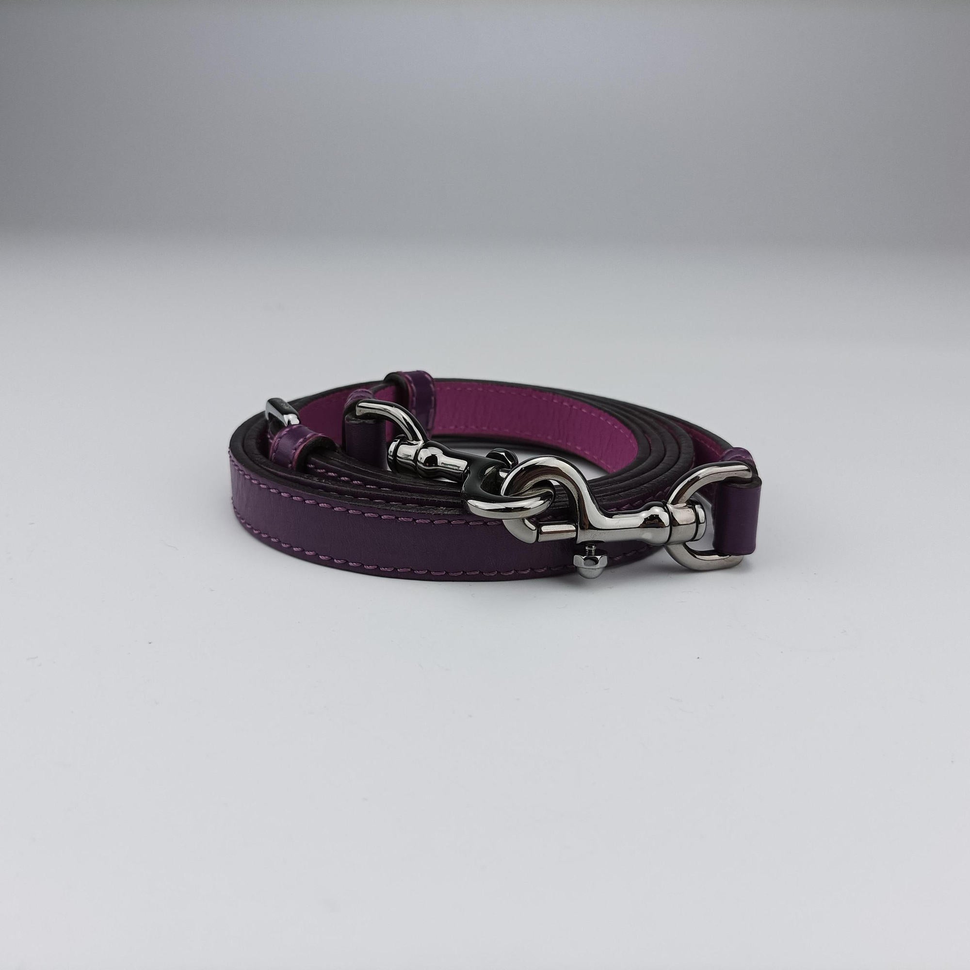 Pre-owned Loewe Ines Purple Leather  shoulderbag | stylenewstar