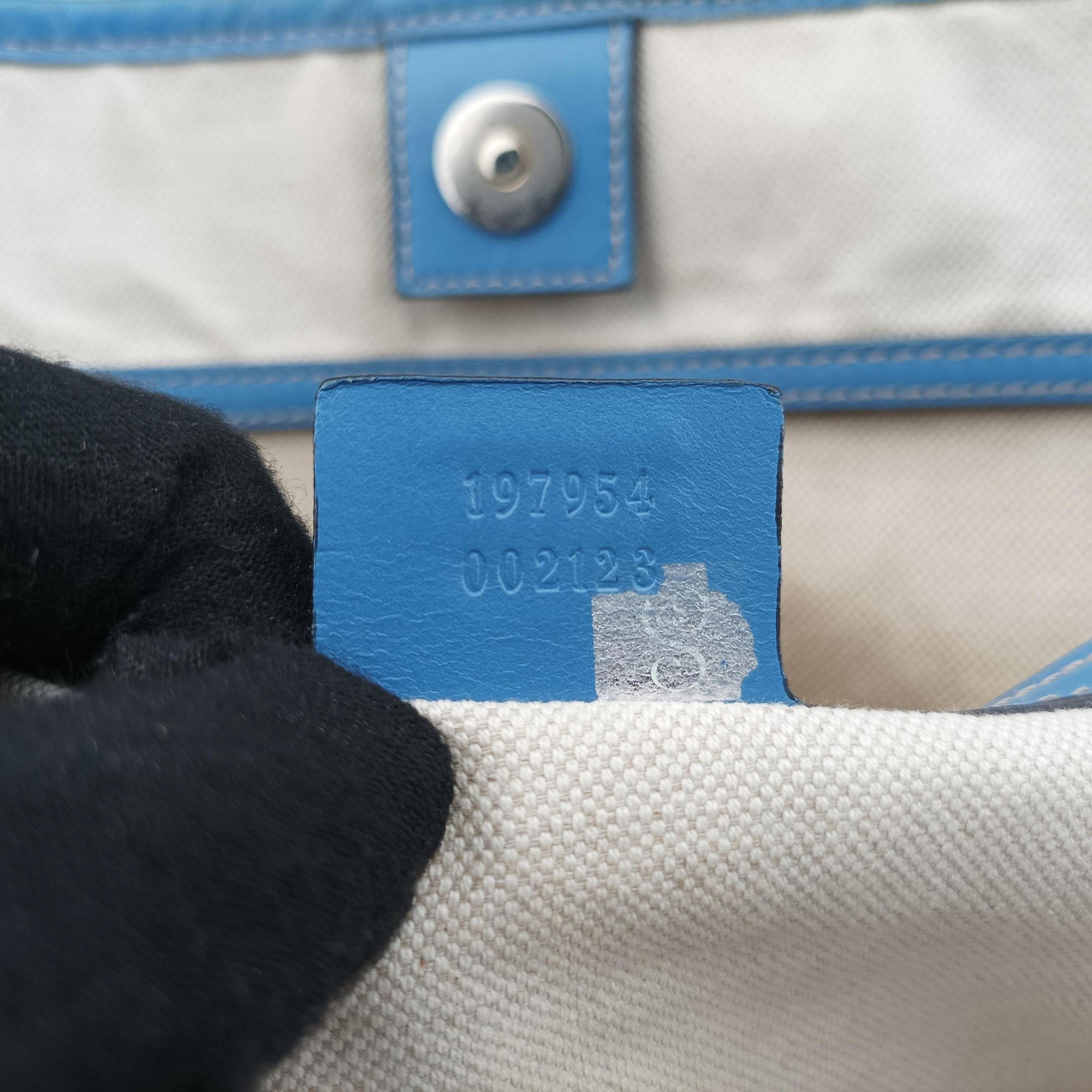 Pre-owned Gucci GG Plus GG Supreme beige×blue PVC coated canvas×Leather 197954 handbag | stylenewstar