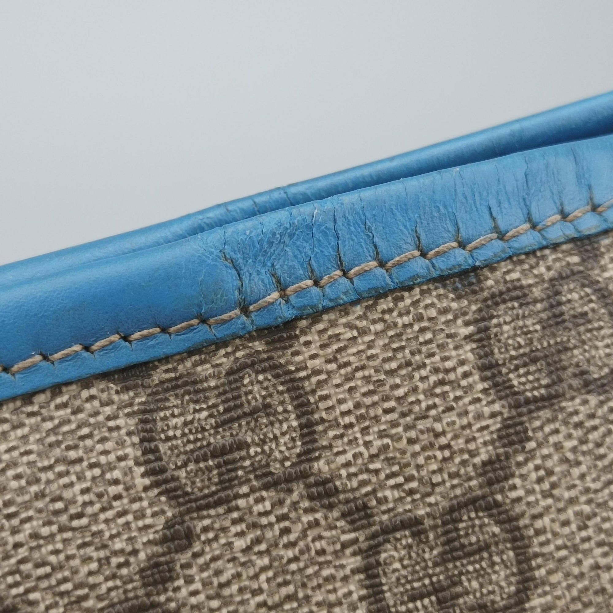 Pre-owned Gucci GG Plus GG Supreme beige×blue PVC coated canvas×Leather 197954 handbag | stylenewstar