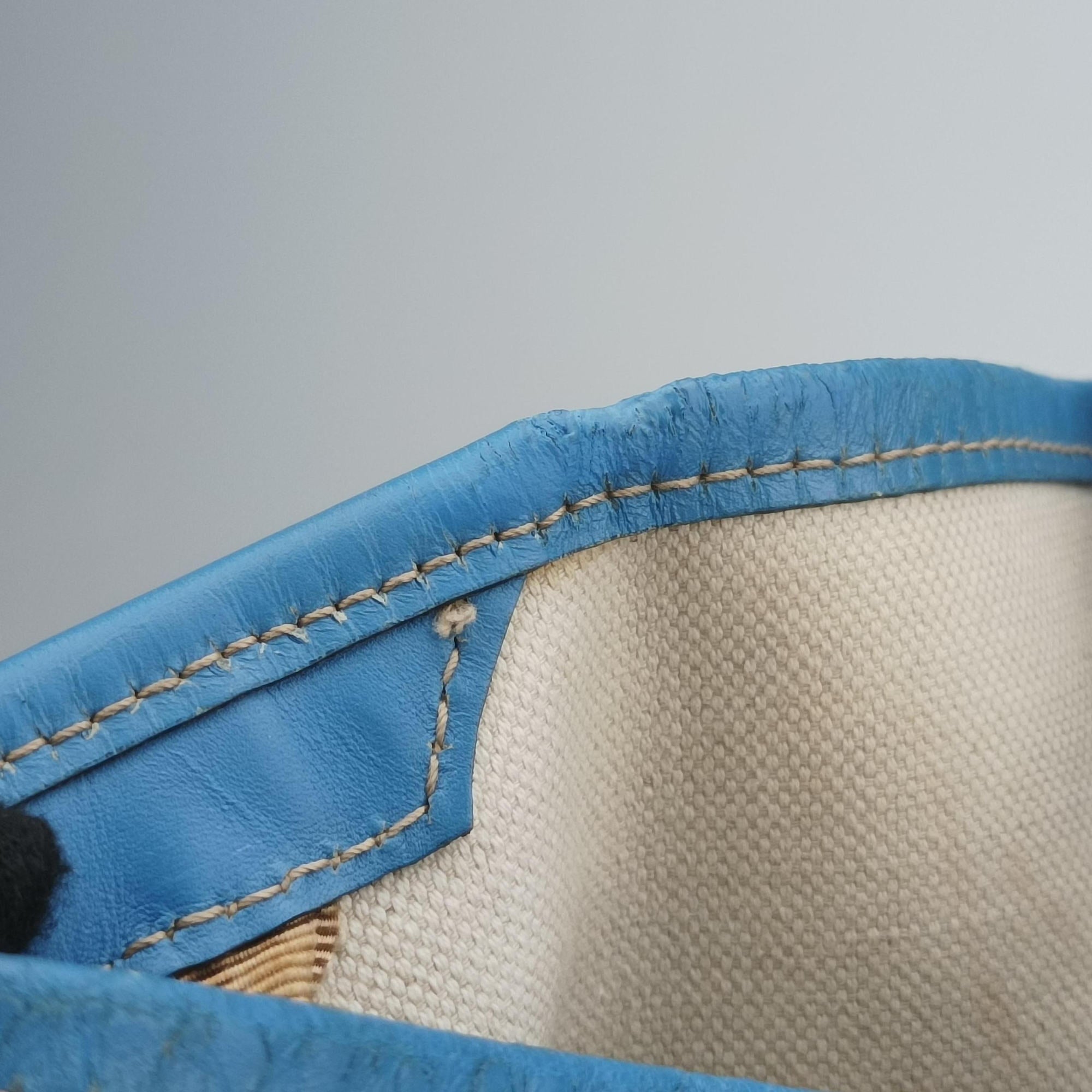 Pre-owned Gucci GG Plus GG Supreme beige×blue PVC coated canvas×Leather 197954 handbag | stylenewstar