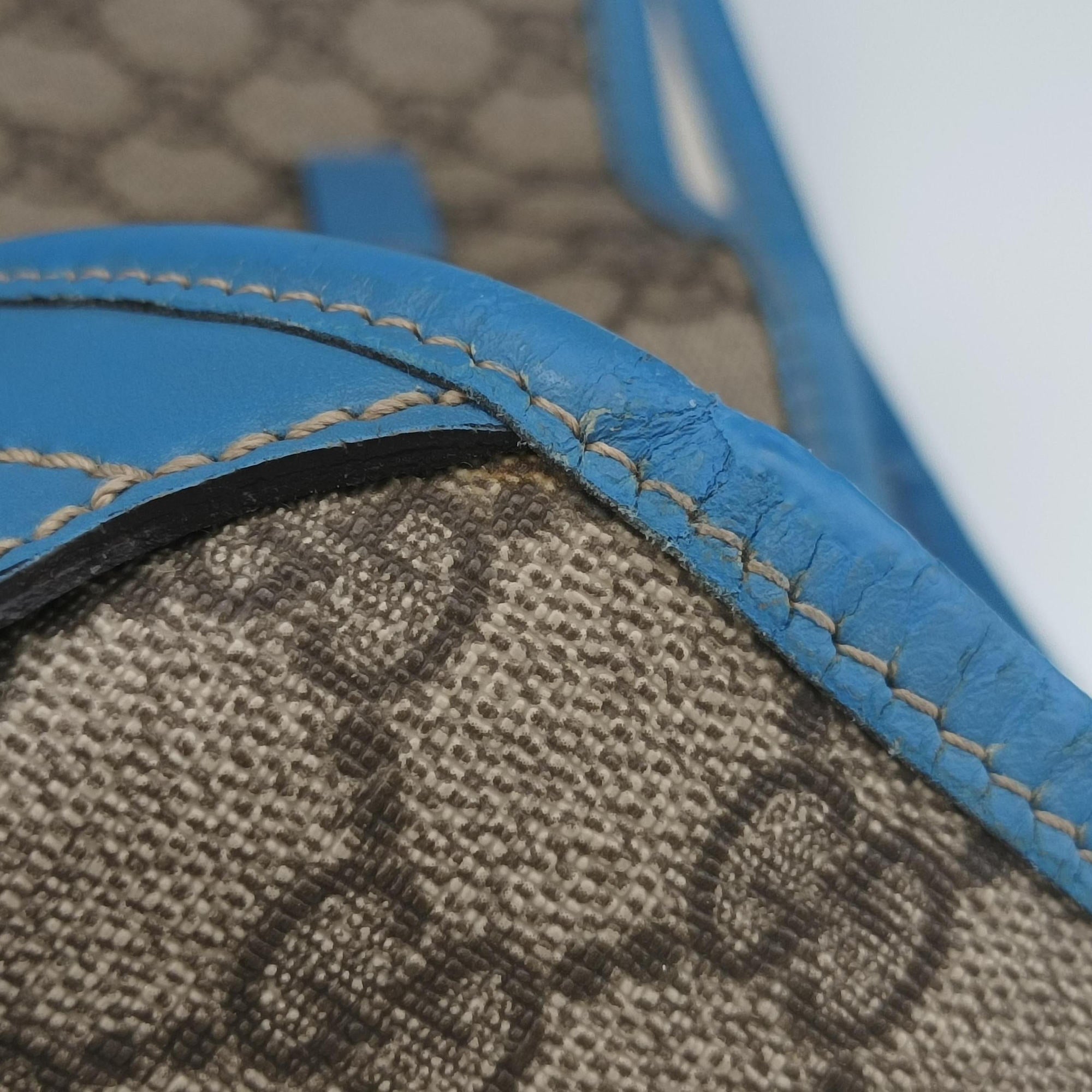 Pre-owned Gucci GG Plus GG Supreme beige×blue PVC coated canvas×Leather 197954 handbag | stylenewstar