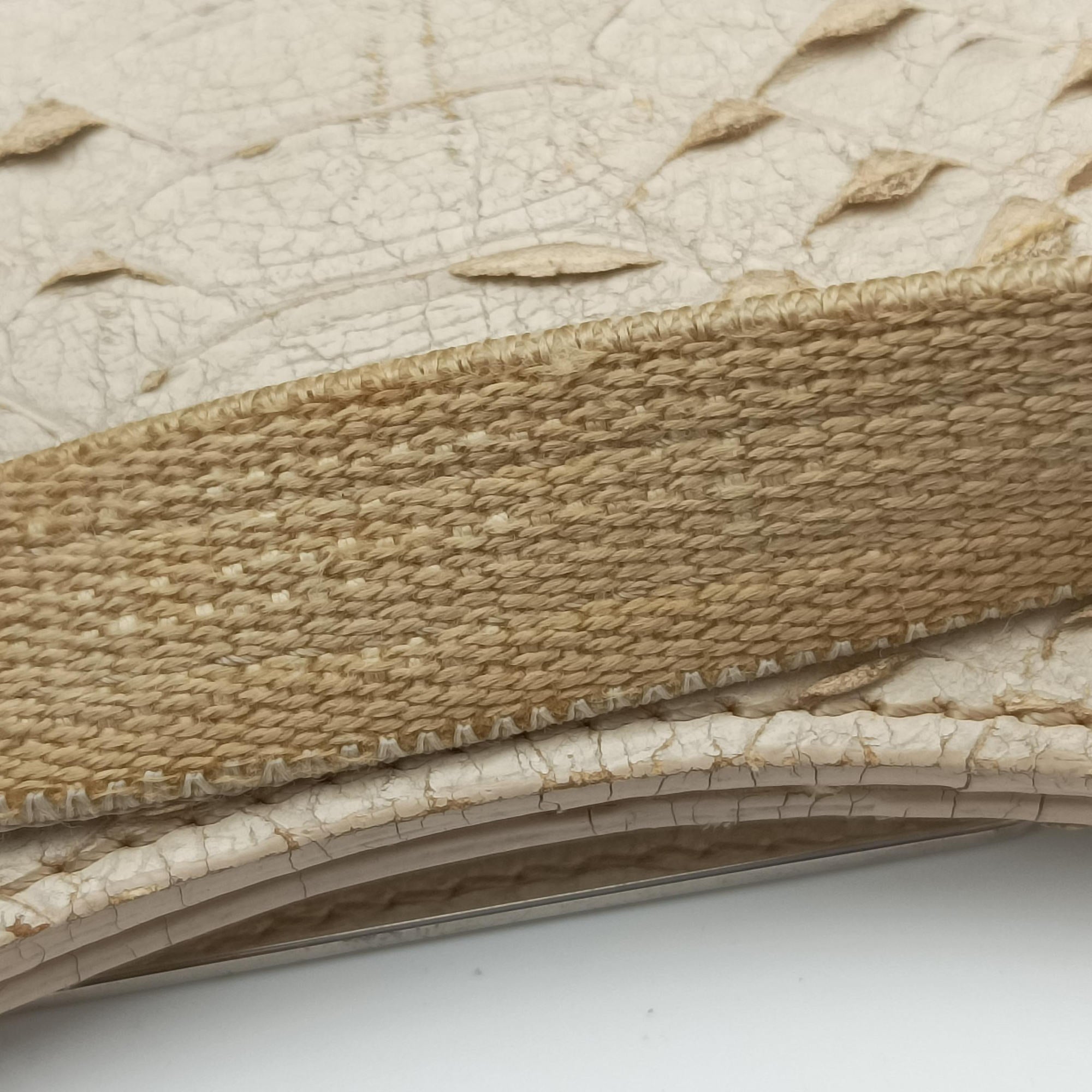 Pre-owned Christian Dior Street Chic Beige x White Canvas x Snake Leather  handbag | stylenewstar