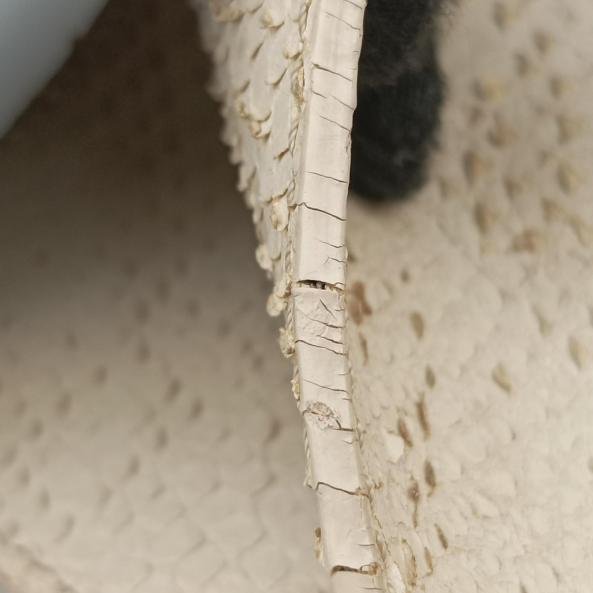 Pre-owned Christian Dior Street Chic Beige x White Canvas x Snake Leather  handbag | stylenewstar