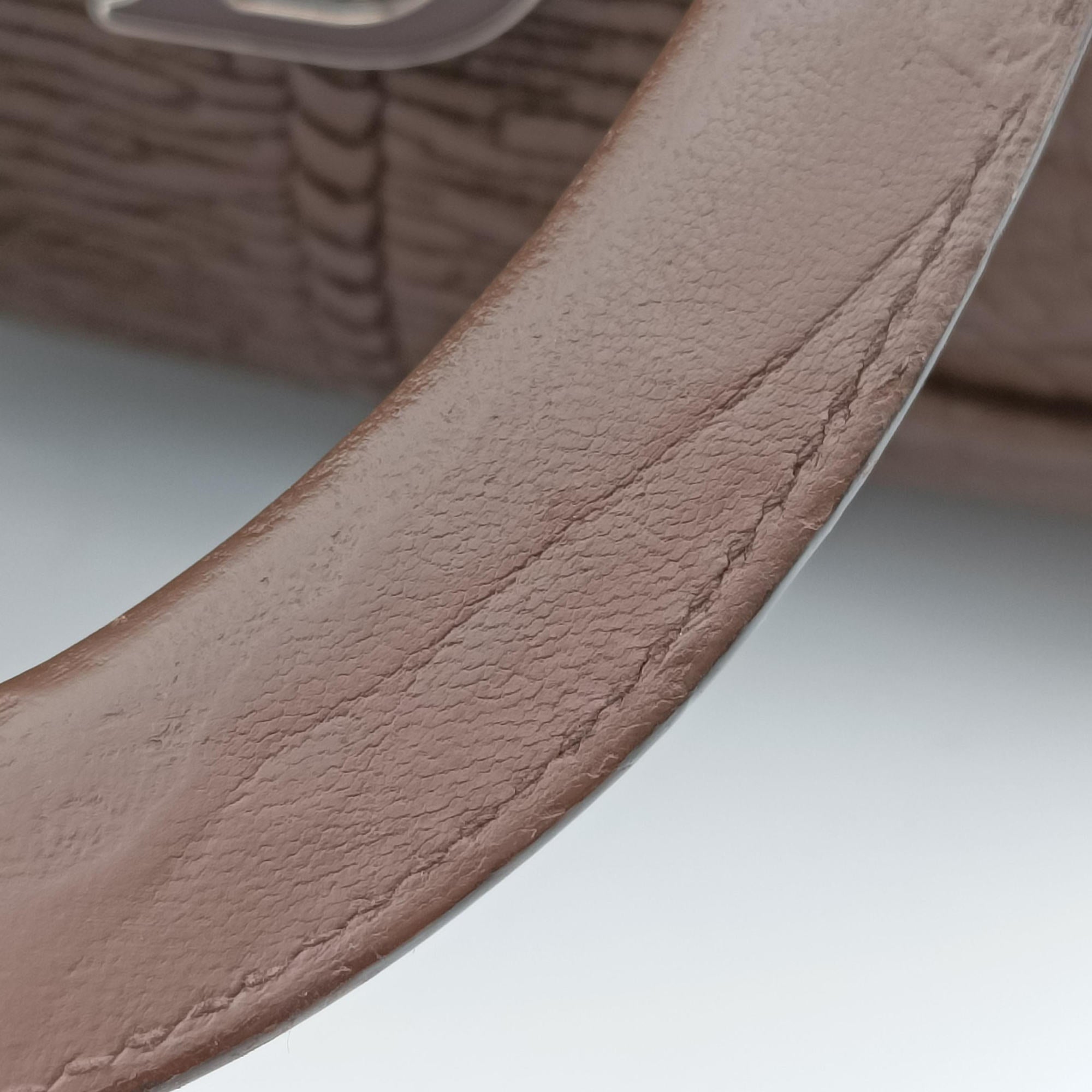 Pre-owned Christian Dior Karenina Brown lambskin  handbag | stylenewstar