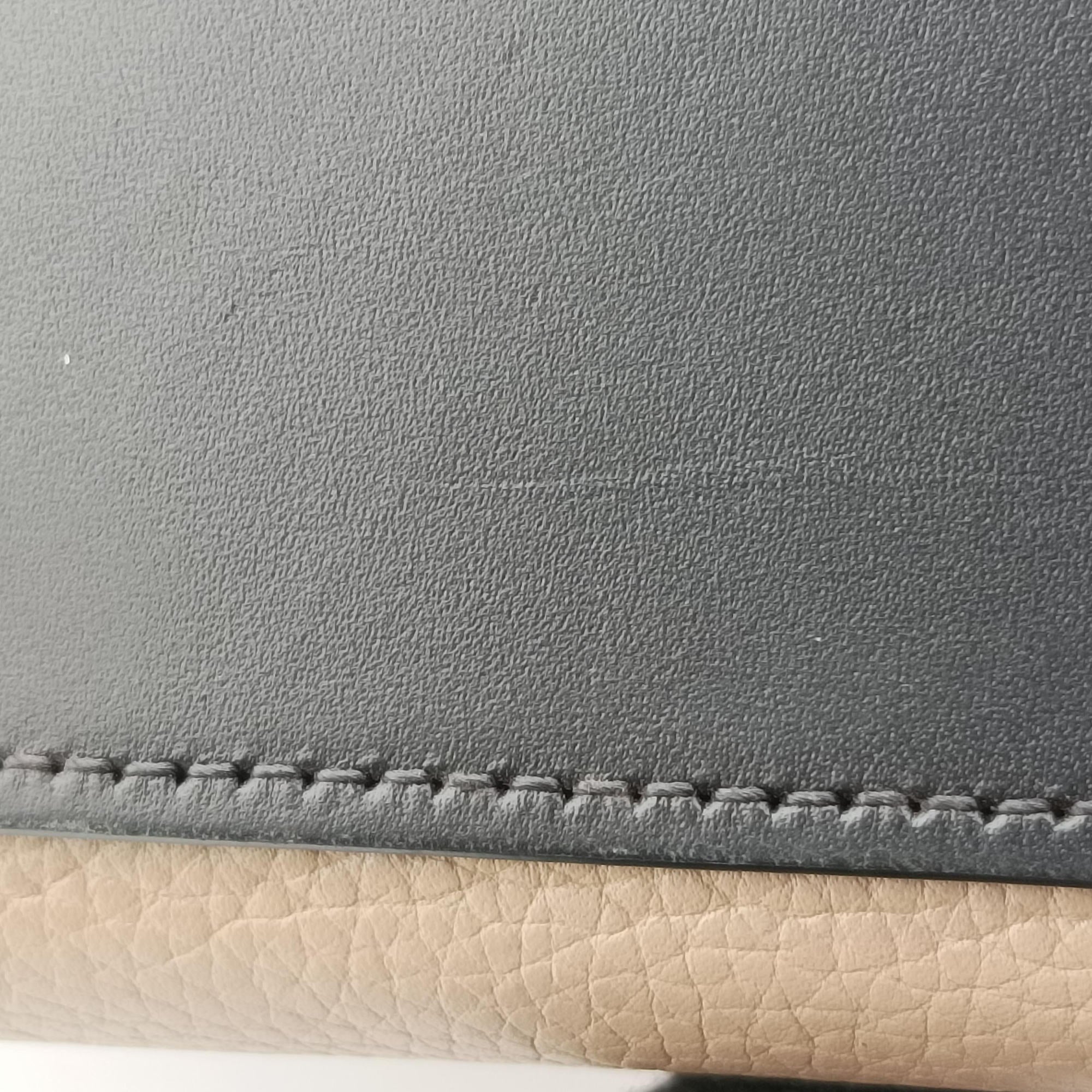 Pre-owned Celine luggage nano shopper Multicolour leather  shoulderbag | stylenewstar