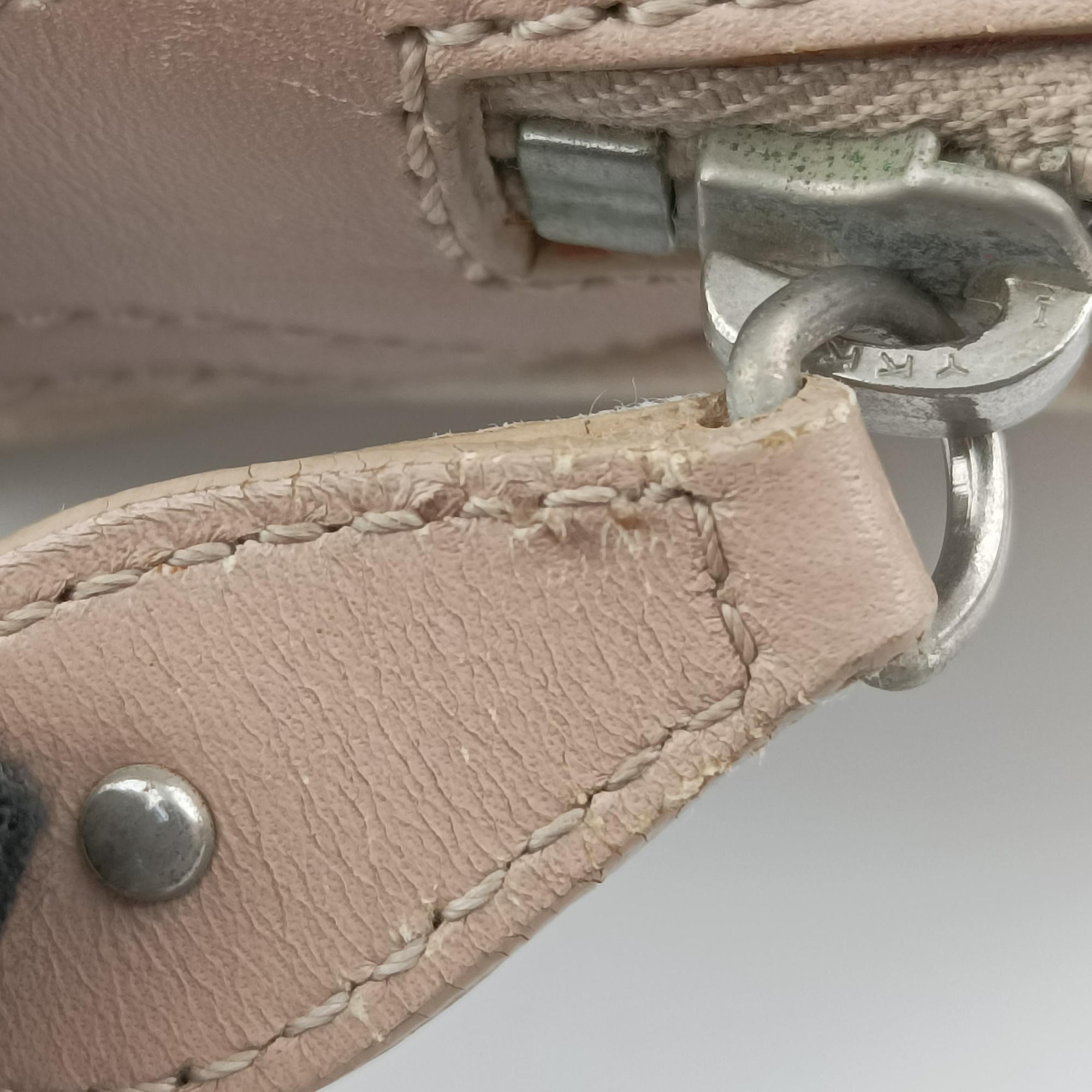 Pre-owned Christian Dior Romantic Trotter Beige x Pink PVC coated canvas x velour  handbag | stylenewstar