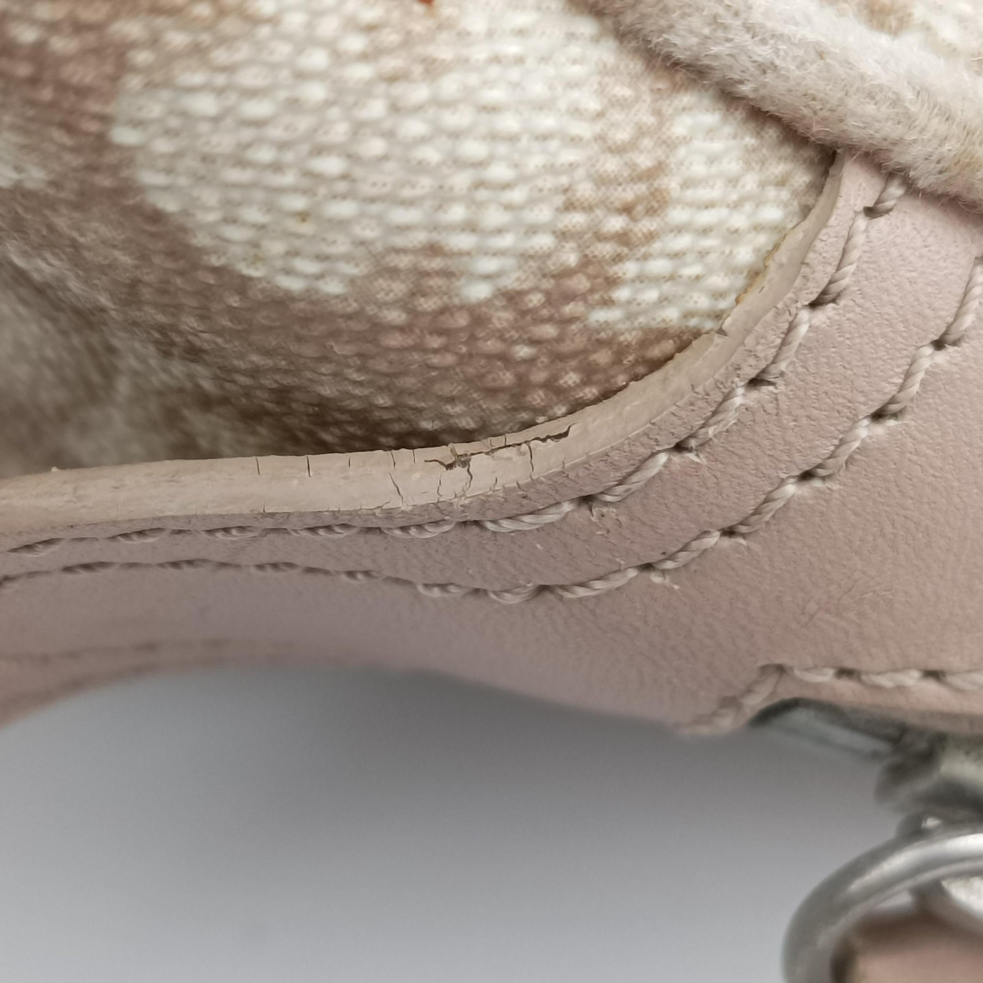 Pre-owned Christian Dior Romantic Trotter Beige x Pink PVC coated canvas x velour  handbag | stylenewstar