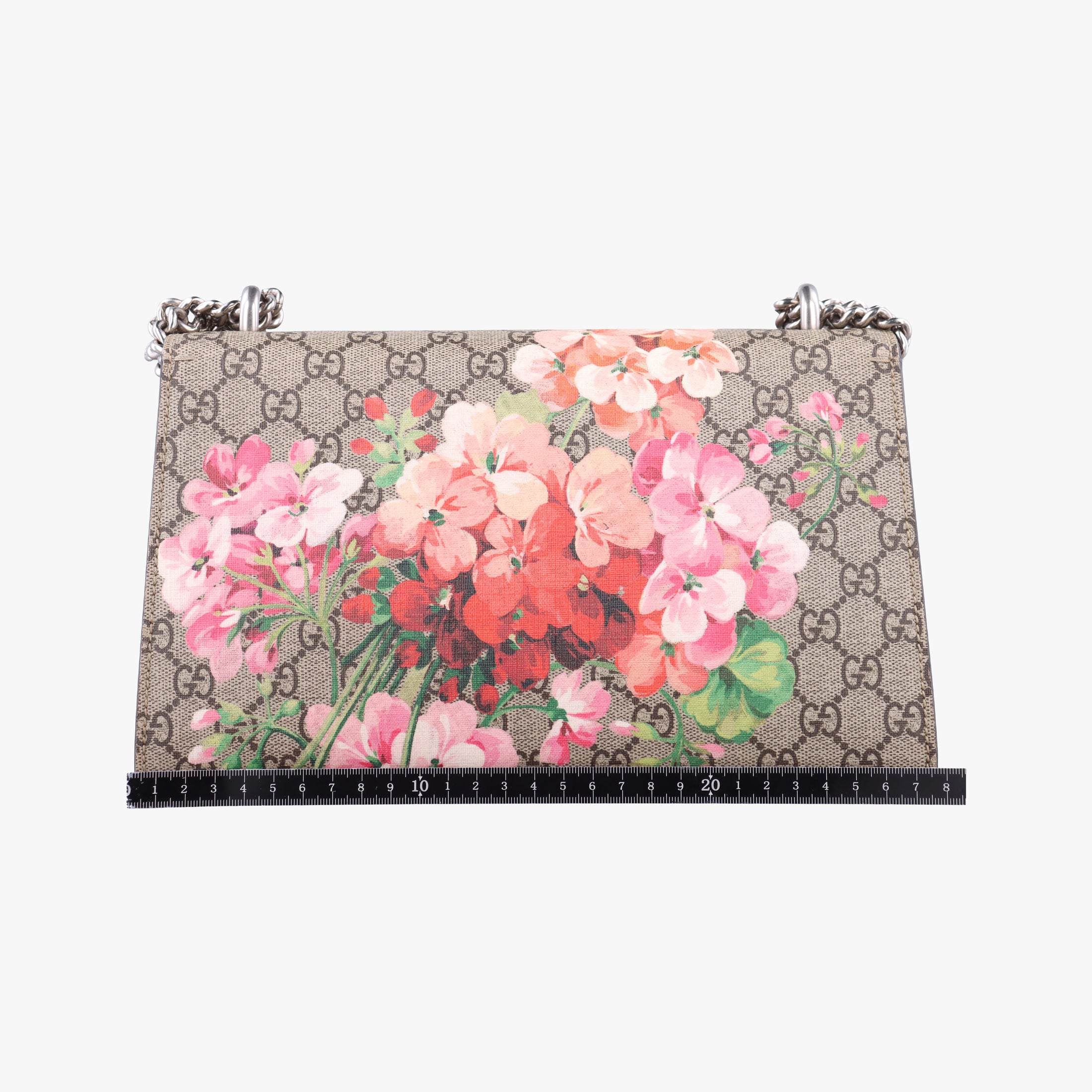 Secondhand Gucci Dionysus beige×red×multicolor PVC coated canvas × suede 400249 shoulderbag | stylenewstar