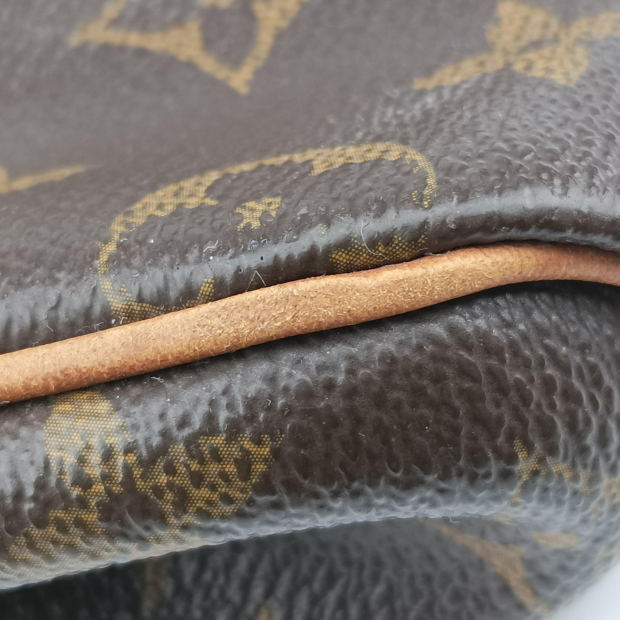 Pre-owned Louis Vuitton EVA brown Monogram Canvas M95567 shoulderbag | stylenewstar