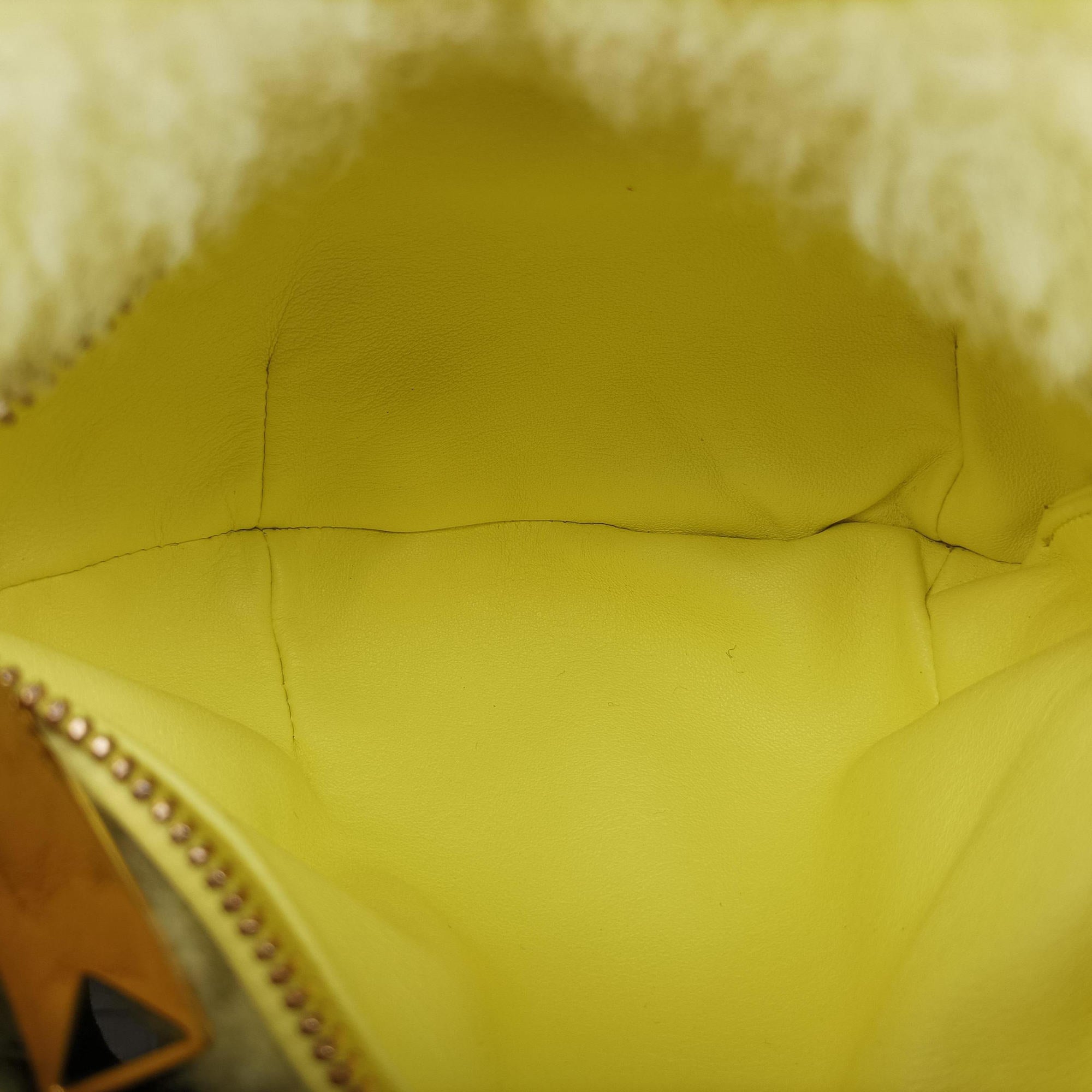 Pre-owned Bottega Veneta The Jodie Yellow Fur  handbag | stylenewstar