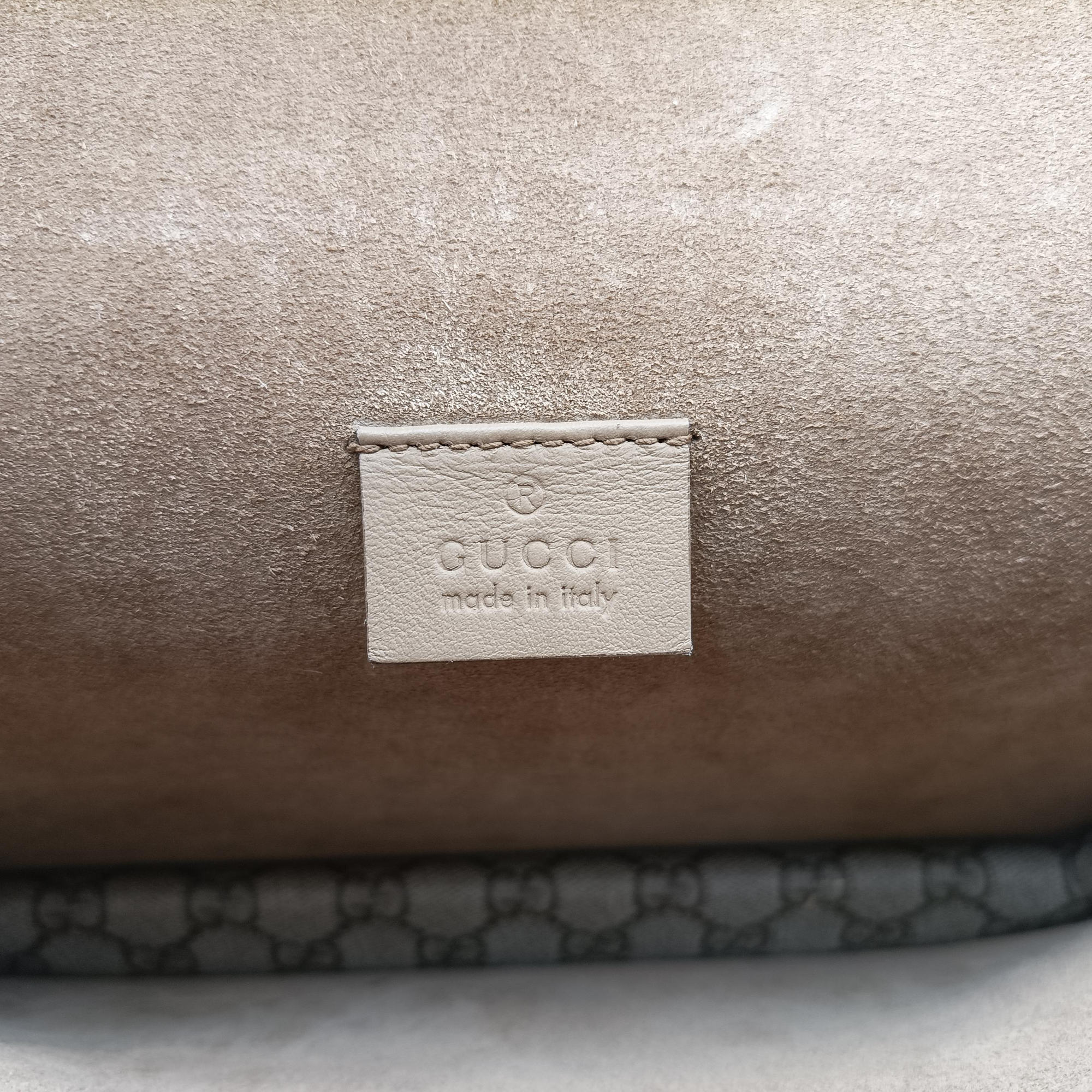 Pre-owned Gucci Dionysus Multicolour PVC coated canvas×suede 403348 shoulderbag | stylenewstar
