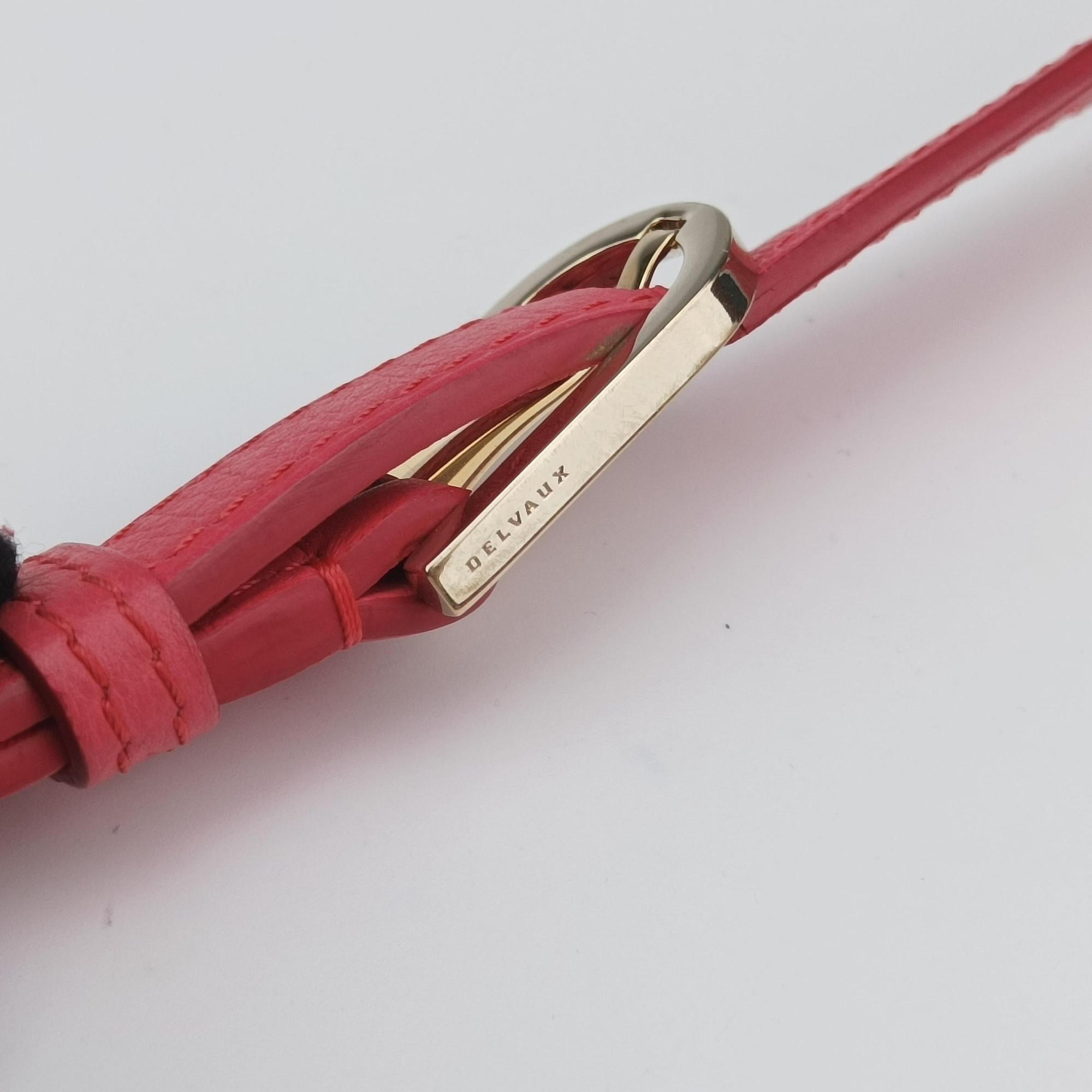 Pre-owned Delvaux Pin  Mini Bucket Pink Leather  shoulderbag | stylenewstar