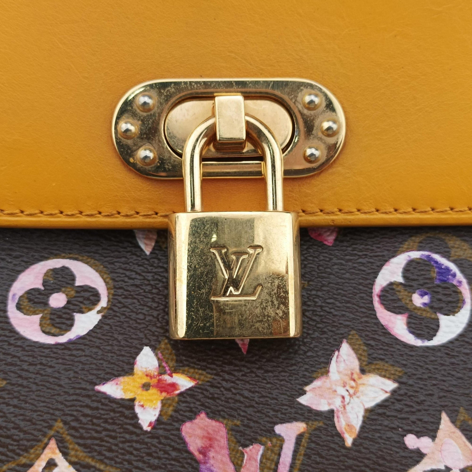 Pre-owned Louis Vuitton Jamais Marron Monogram Watercolor M95729 handbag | stylenewstar