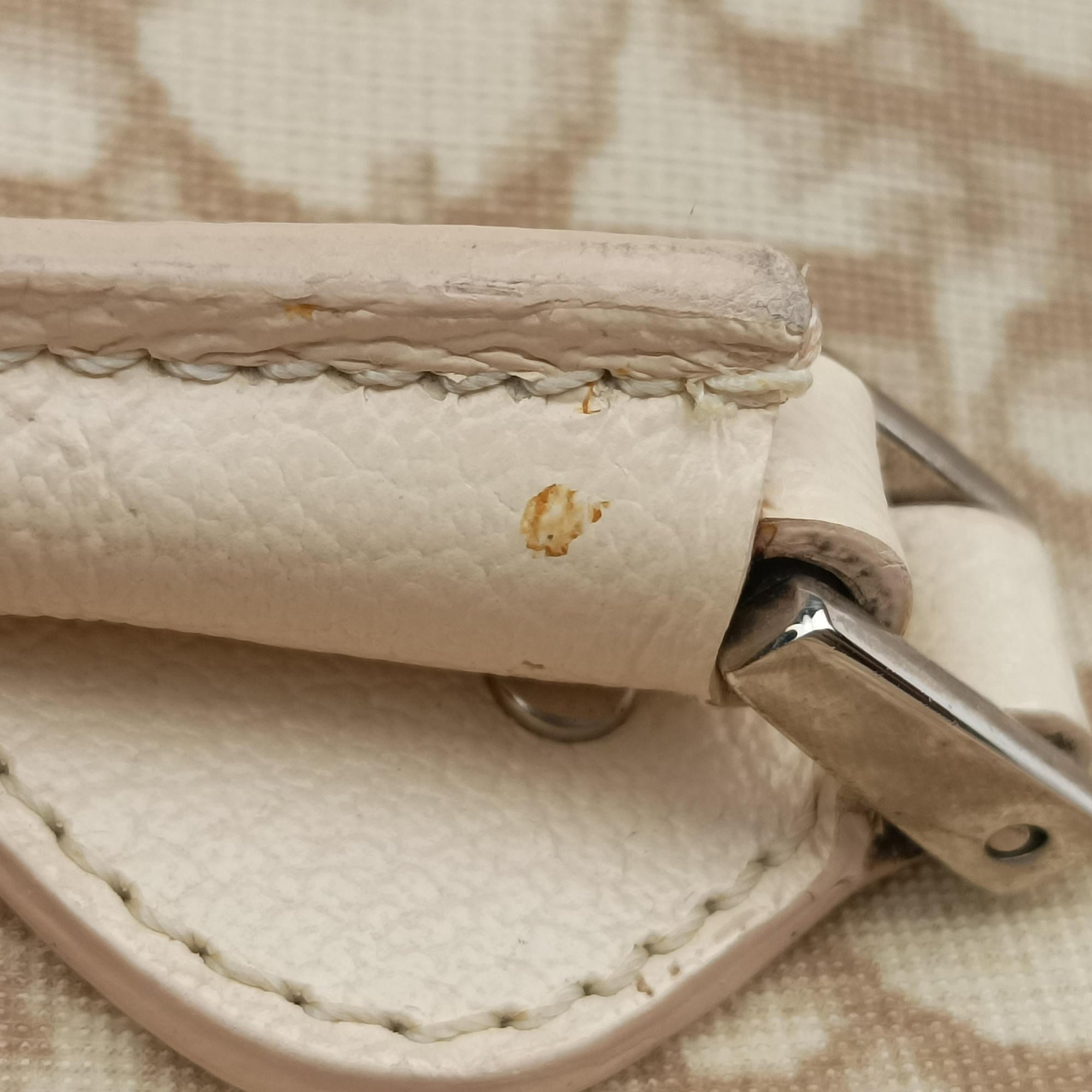 Pre-owned Christian Dior Trotter Boston Beige PVC Coated Canvas Floral Embroidery  handbag | stylenewstar
