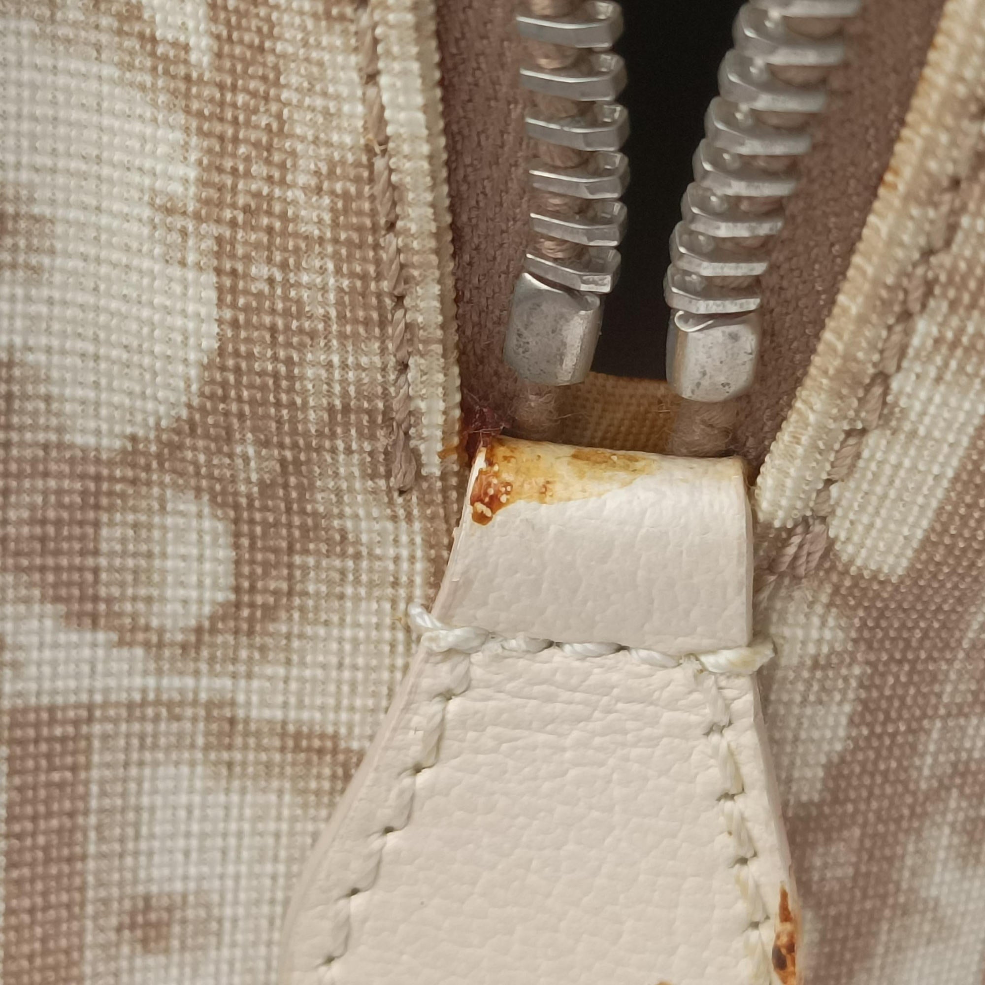 Pre-owned Christian Dior Trotter Boston Beige PVC Coated Canvas Floral Embroidery  handbag | stylenewstar