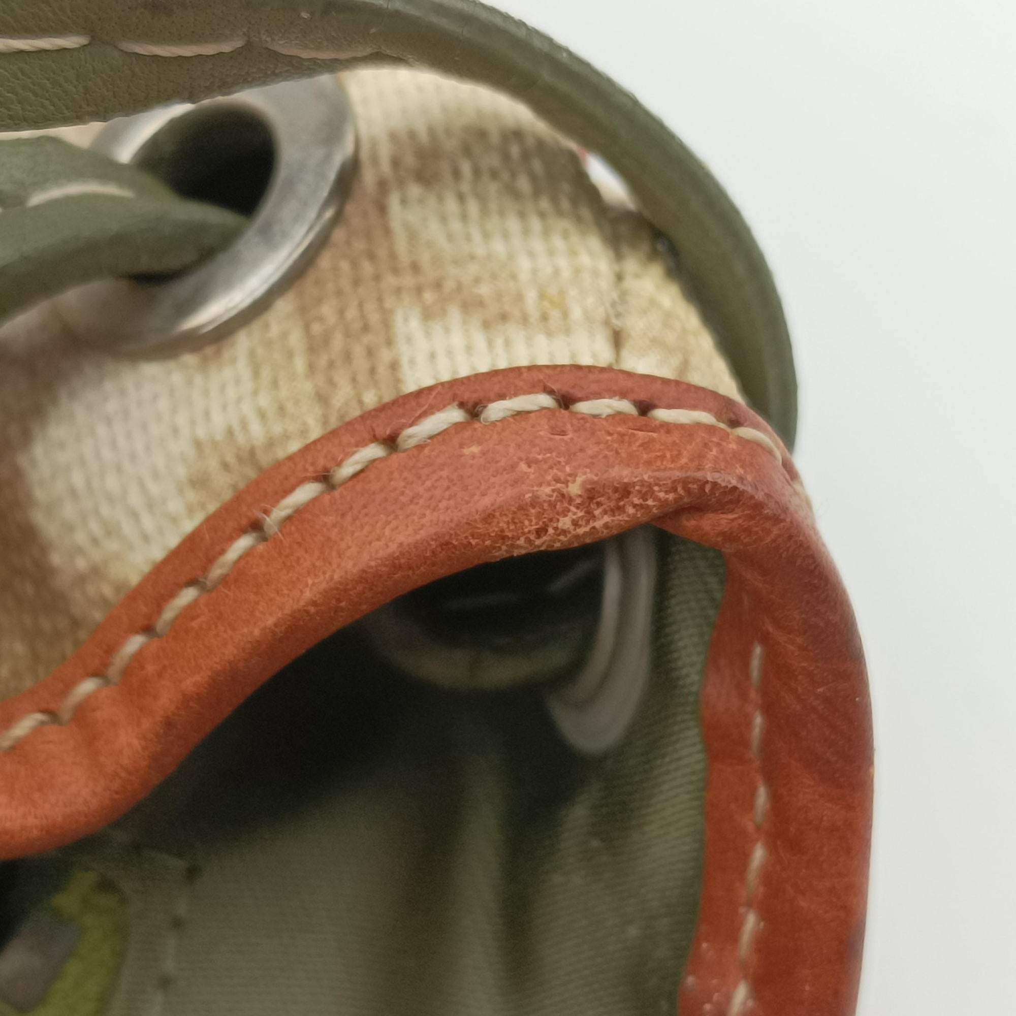 Secondhand Christian Dior Romantique Trotter Beige x White x Greenx Brown PVC Coated Canvas x leather  shoulderbag | stylenewstar