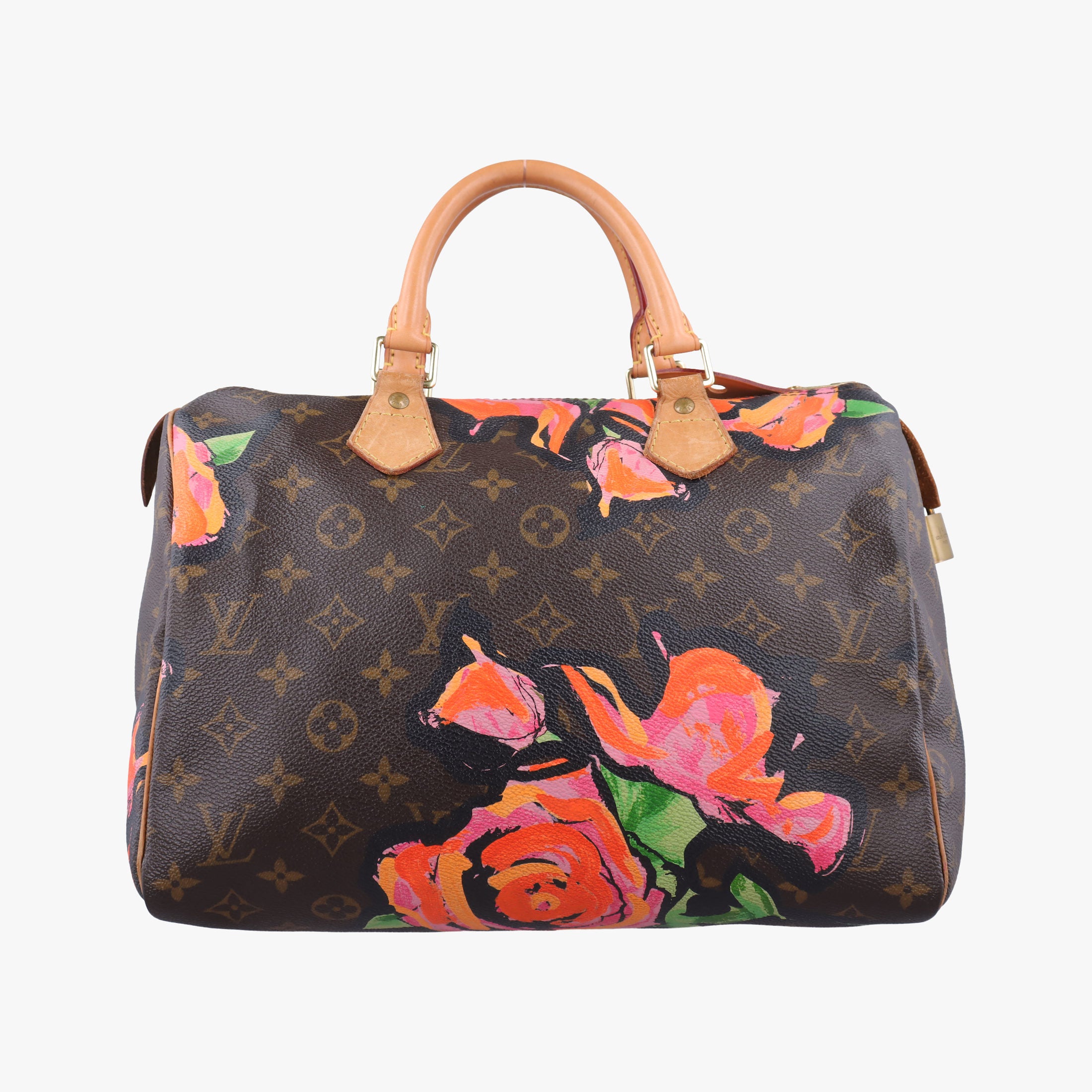 Pre-owned Louis Vuitton SPEEDY 30 brown×multi Monogram Canvas M48610 handbag | stylenewstar