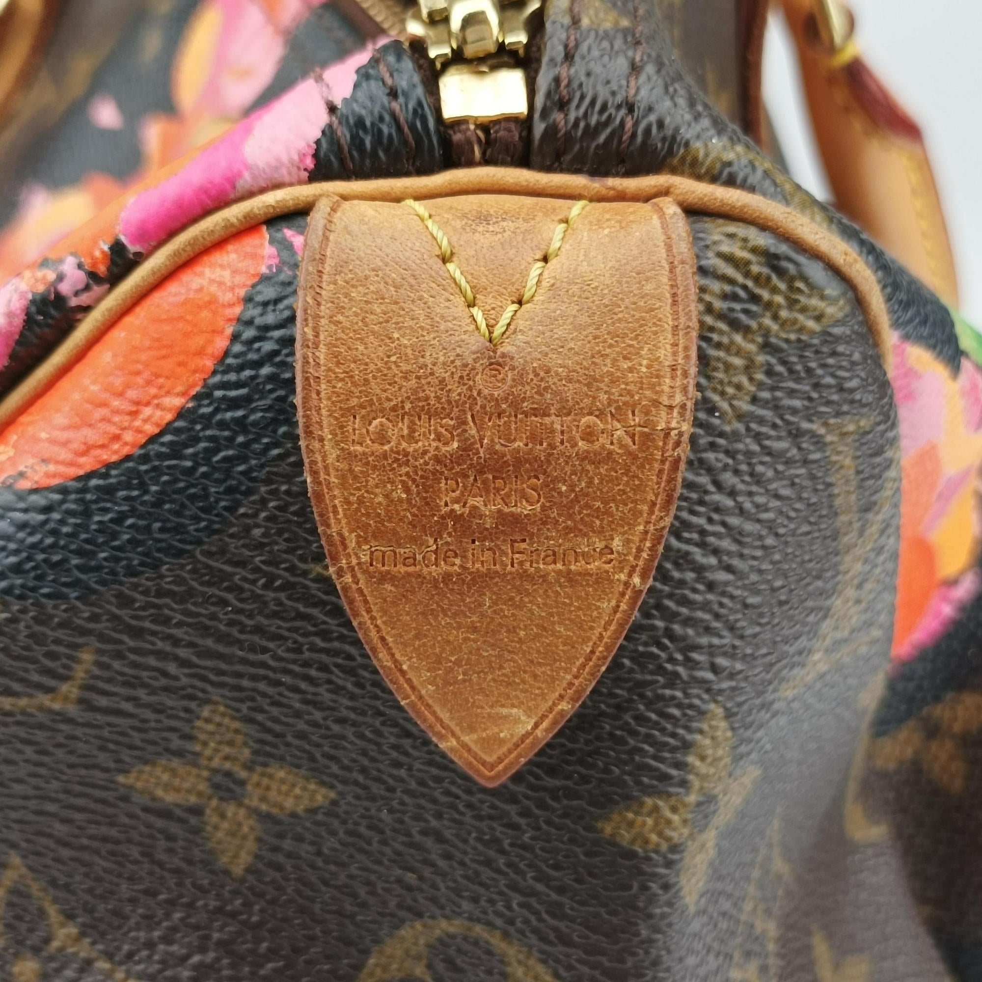 Pre-owned Louis Vuitton SPEEDY 30 brown×multi Monogram Canvas M48610 handbag | stylenewstar