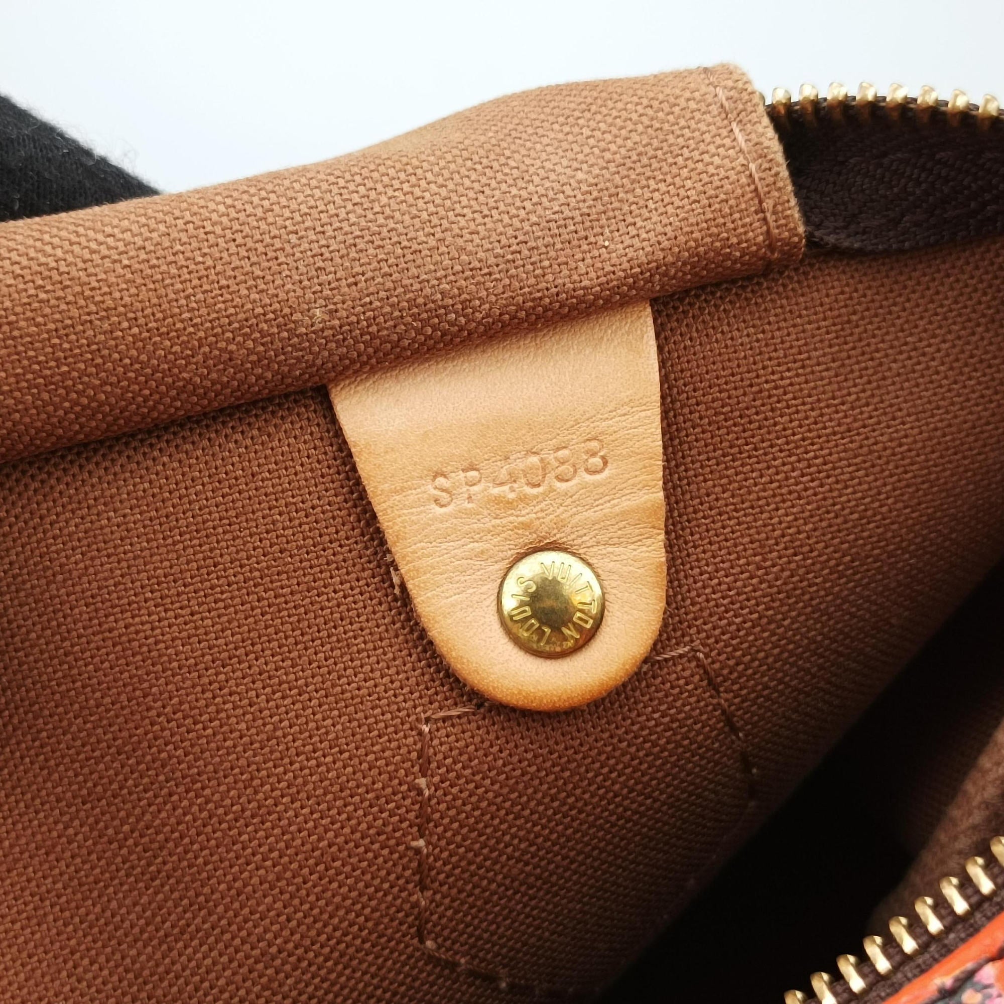 Pre-owned Louis Vuitton SPEEDY 30 brown×multi Monogram Canvas M48610 handbag | stylenewstar