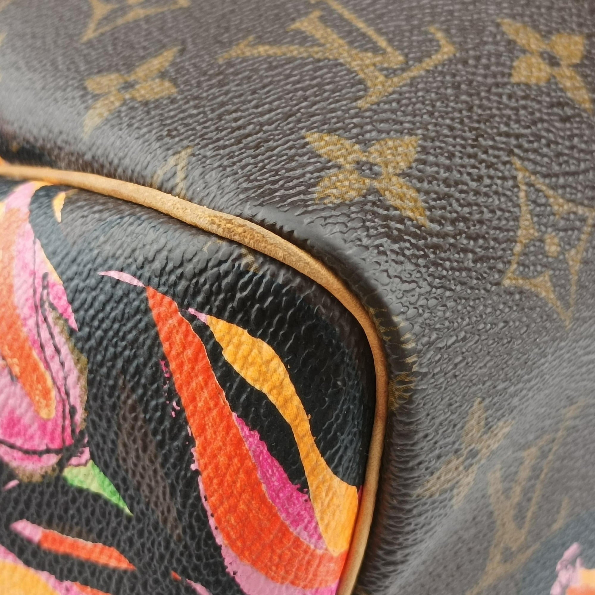 Pre-owned Louis Vuitton SPEEDY 30 brown×multi Monogram Canvas M48610 handbag | stylenewstar