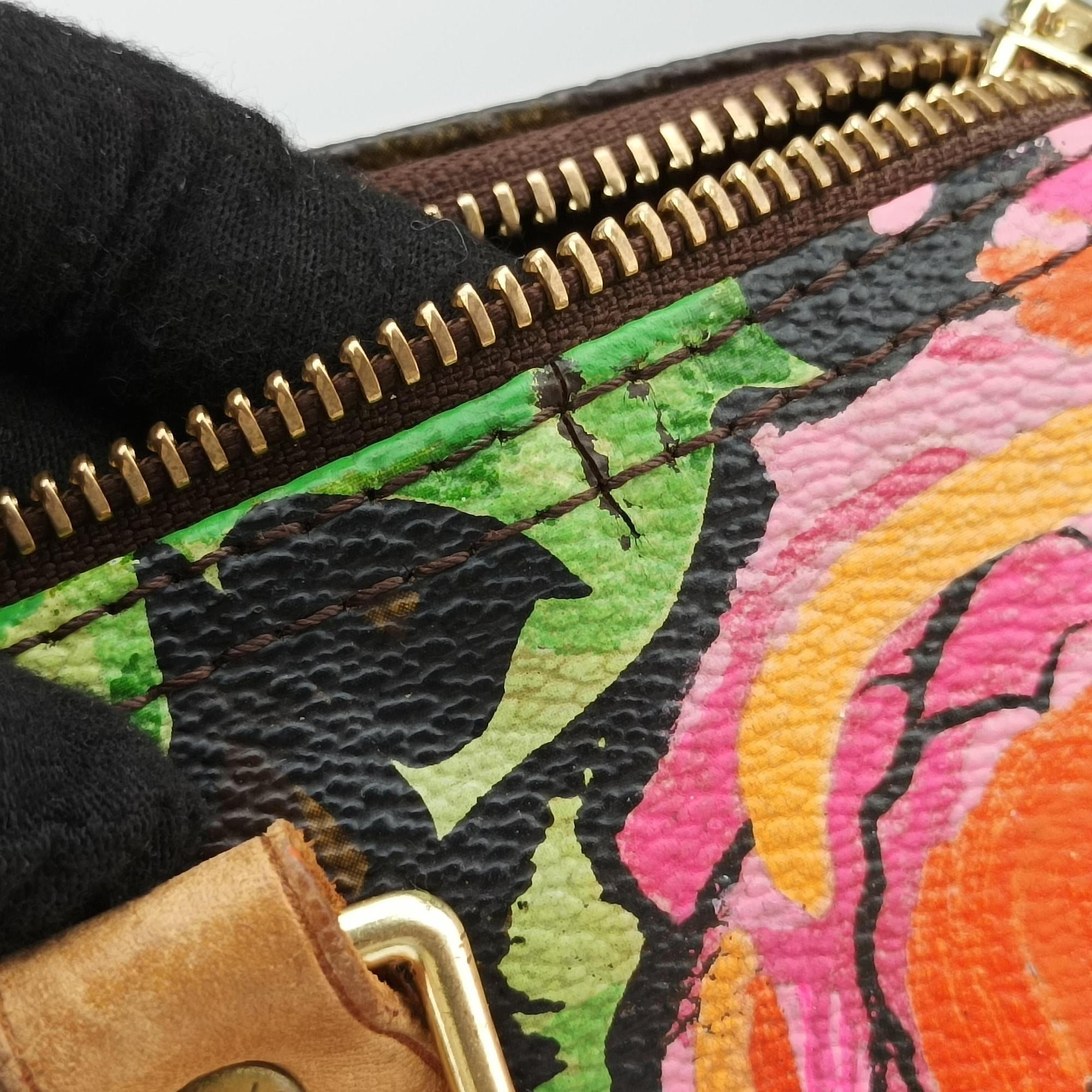 Pre-owned Louis Vuitton SPEEDY 30 brown×multi Monogram Canvas M48610 handbag | stylenewstar