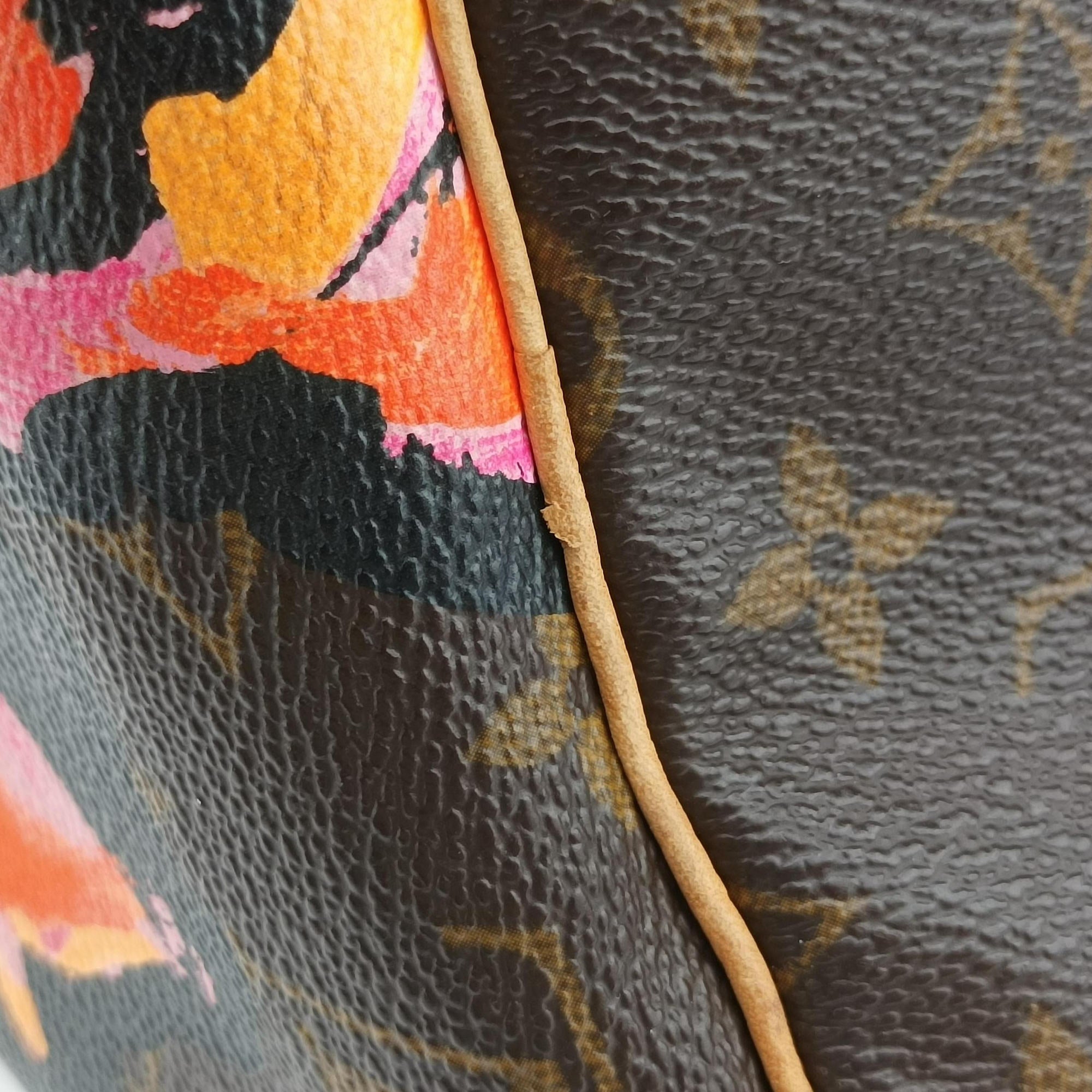 Pre-owned Louis Vuitton SPEEDY 30 brown×multi Monogram Canvas M48610 handbag | stylenewstar
