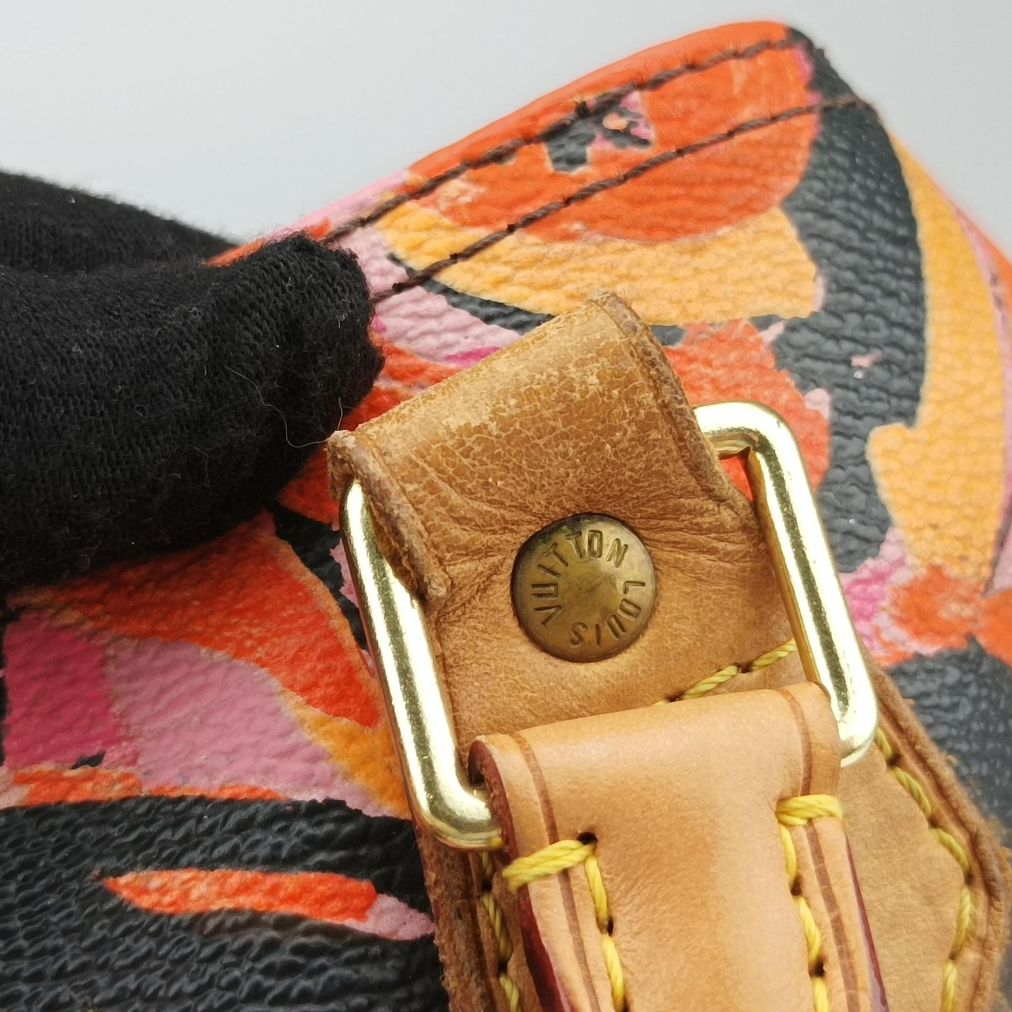 Pre-owned Louis Vuitton SPEEDY 30 brown×multi Monogram Canvas M48610 handbag | stylenewstar