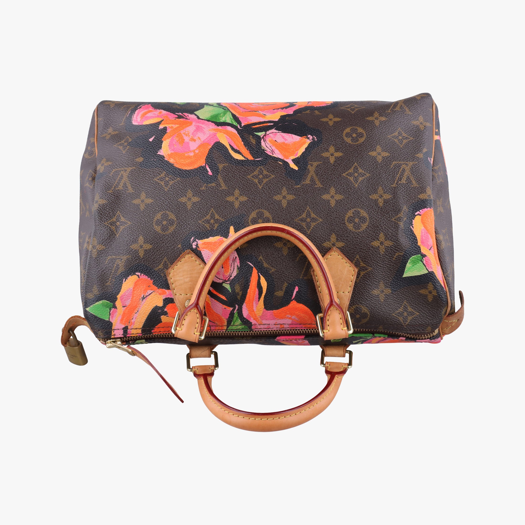 Pre-owned Louis Vuitton SPEEDY 30 brown×multi Monogram Canvas M48610 handbag | stylenewstar