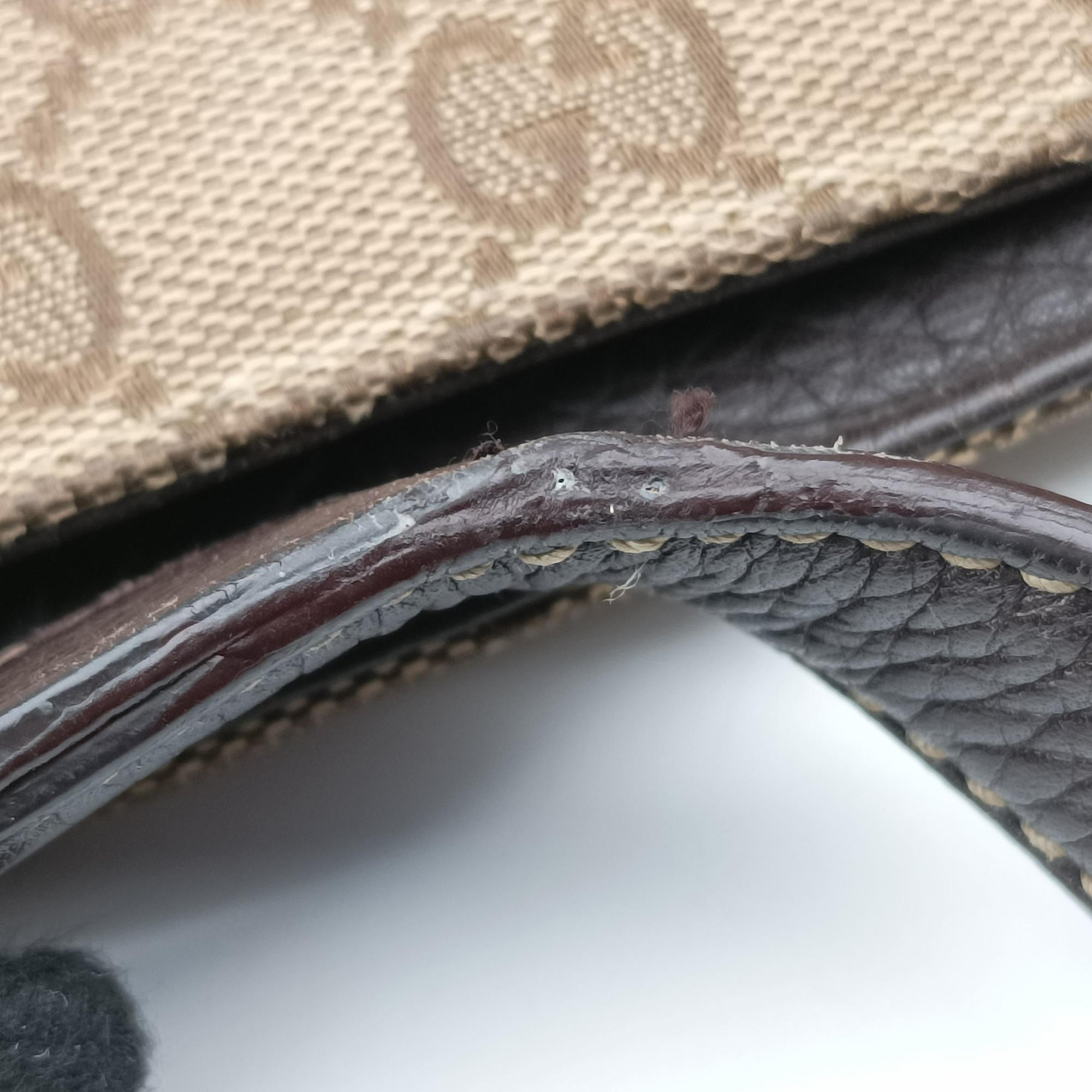 Pre-owned Gucci Babouska Hysteria Brown canvas×leather 229852 handbag | stylenewstar