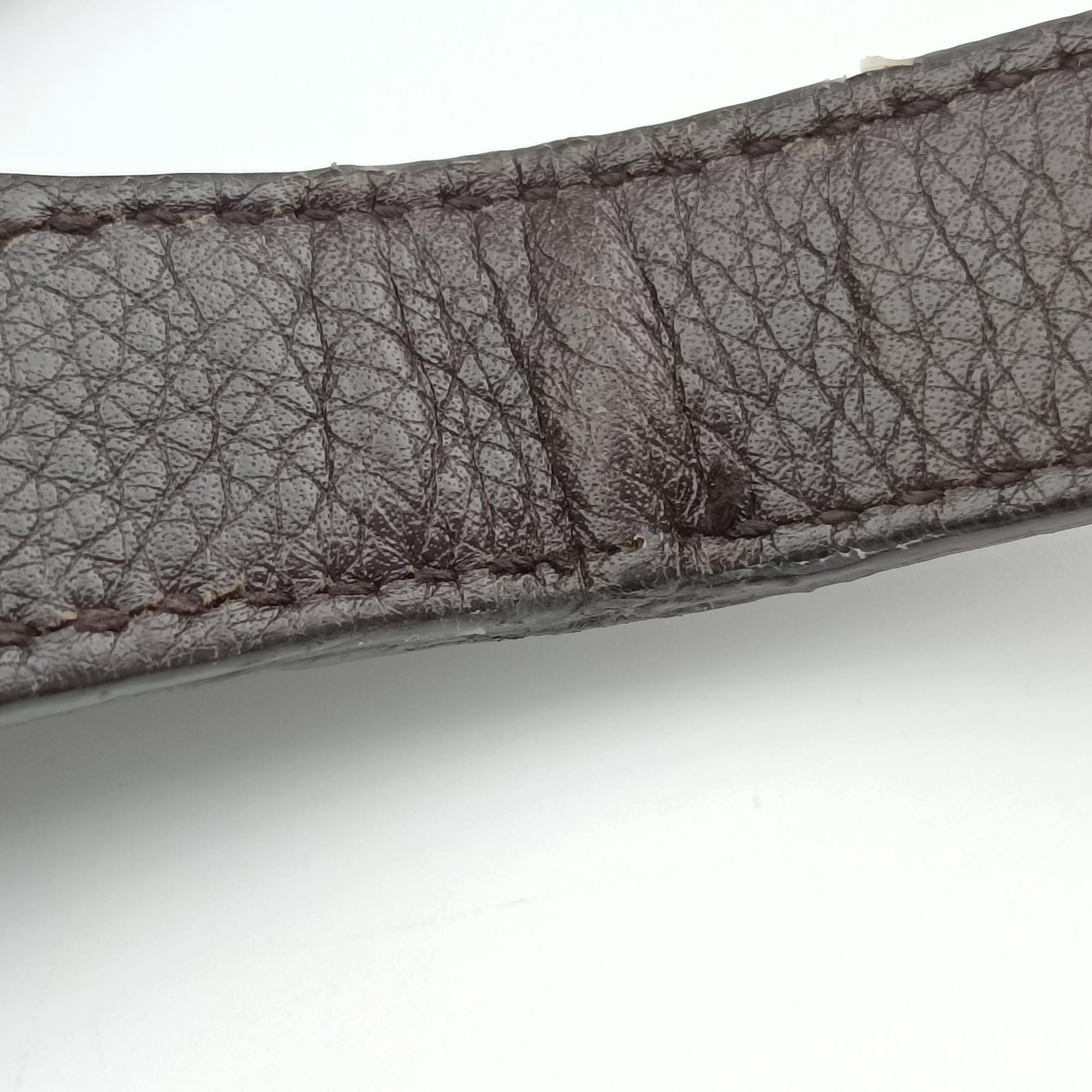 Pre-owned Gucci Babouska Hysteria Brown canvas×leather 229852 handbag | stylenewstar