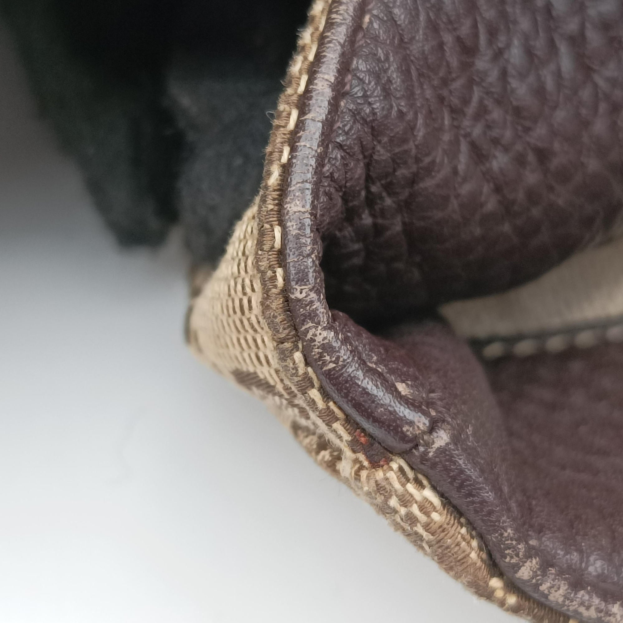 Pre-owned Gucci Babouska Hysteria Brown canvas×leather 229852 handbag | stylenewstar