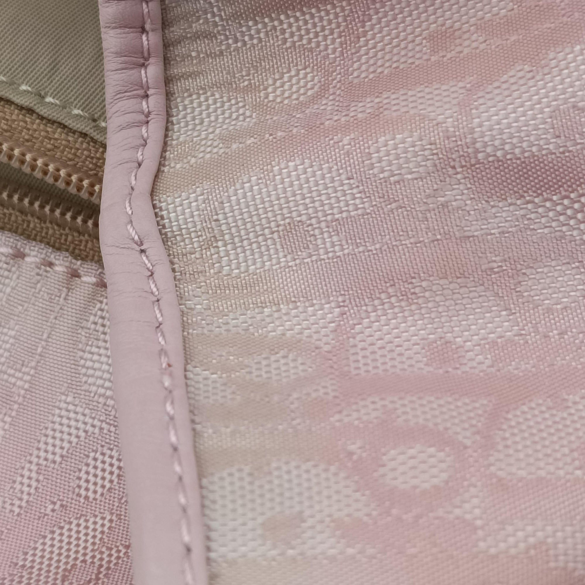 Secondhand Christian Dior Lovely Trotter Pink Cotton Canvas × Leather  handbag | stylenewstar